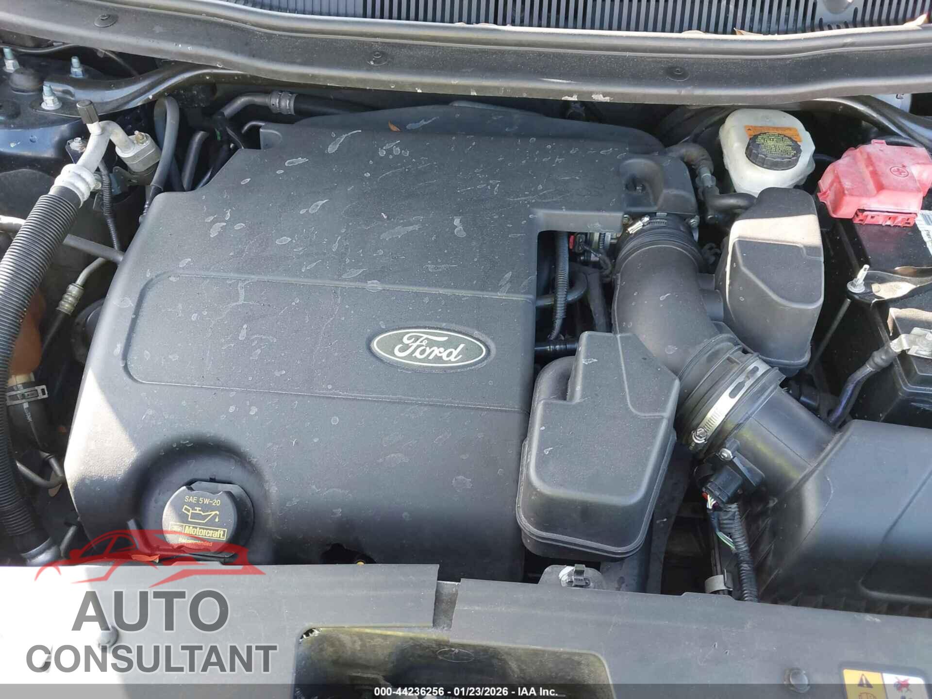 FORD EXPLORER 2013 - 1FM5K8D87DGC00560