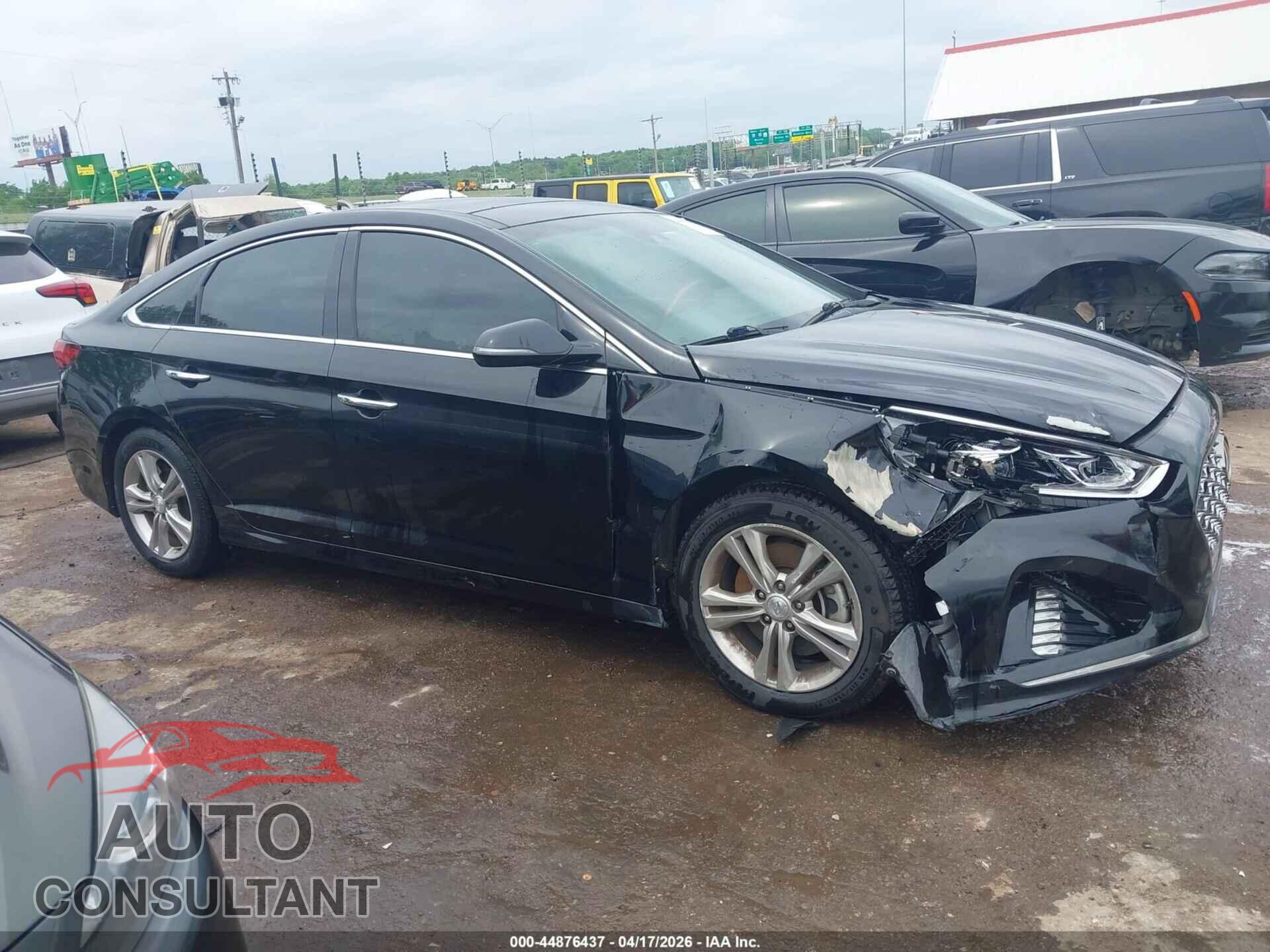 HYUNDAI SONATA 2019 - 5NPE34AF2KH771105