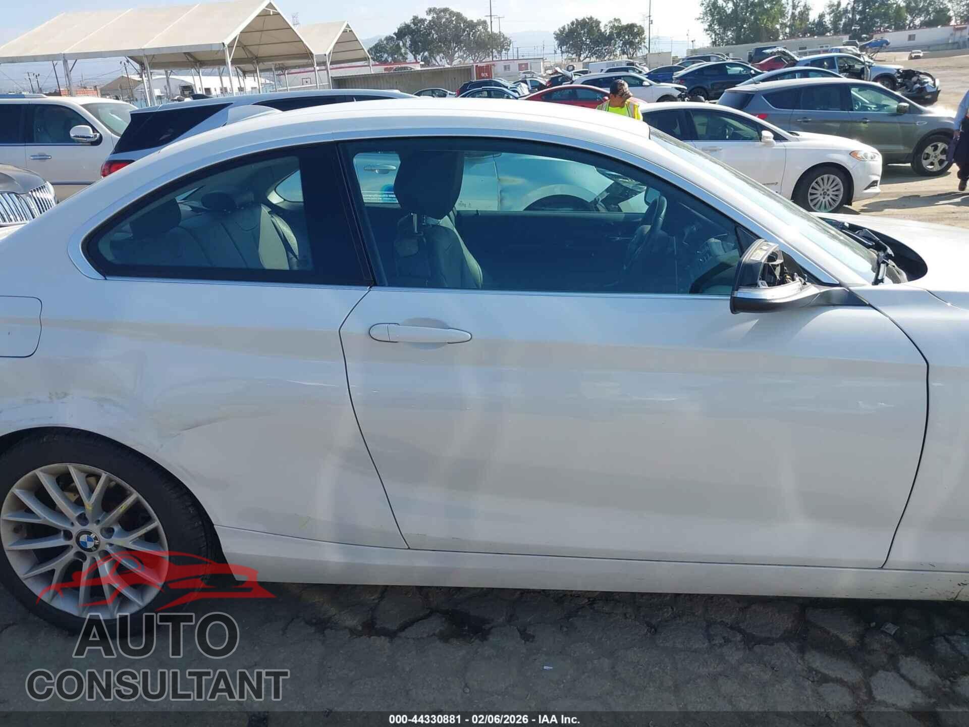 BMW 228I 2014 - WBA1F5C59EVV99365