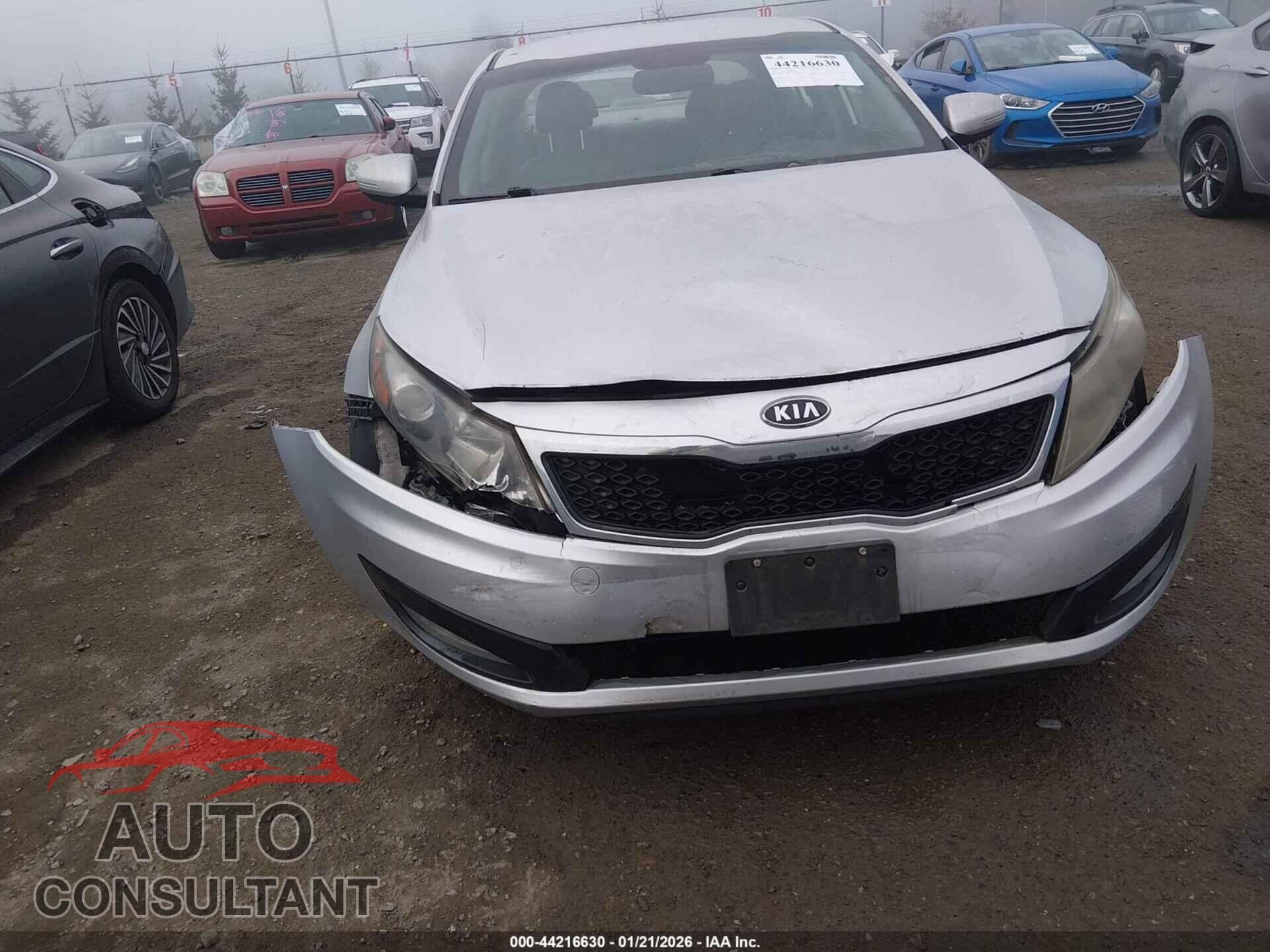 KIA OPTIMA 2011 - KNAGN4A70B5146193