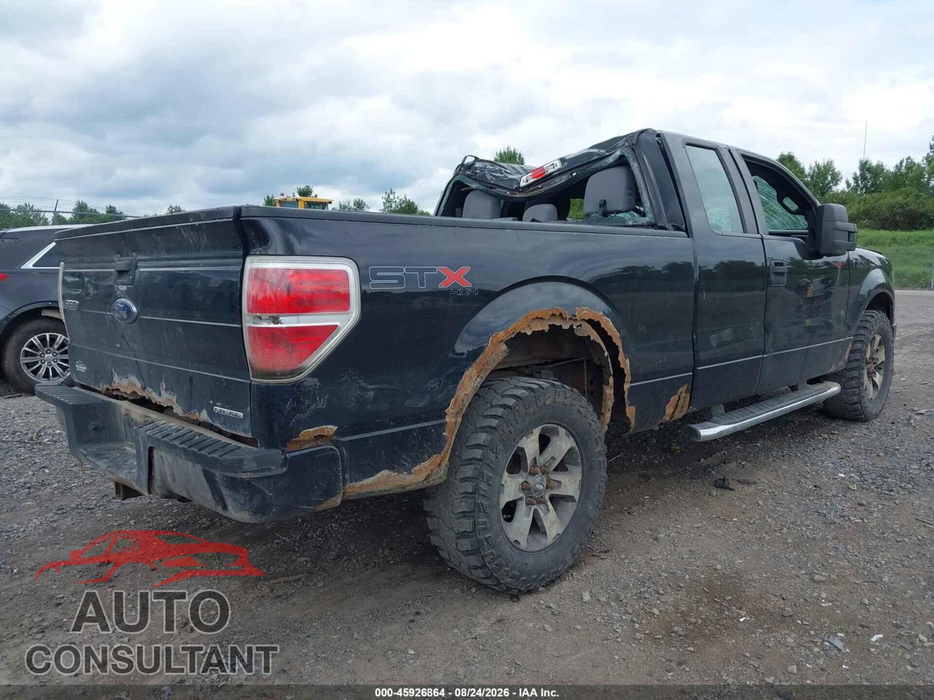 FORD F-150 2013 - 1FTFX1EFXDFD46665