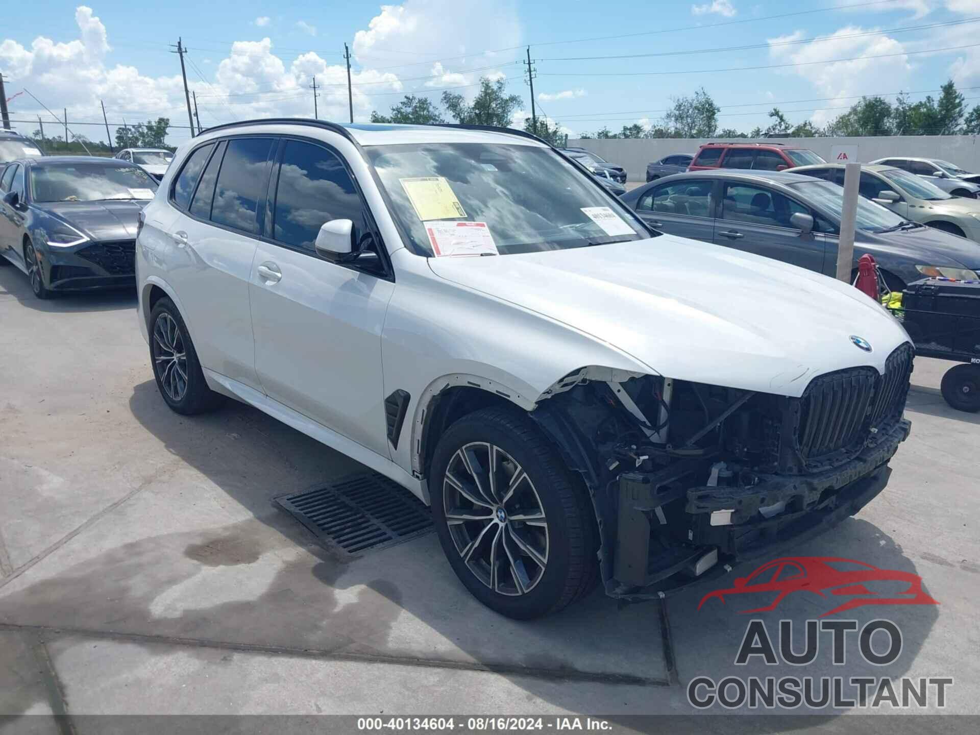 BMW X5 2024 - 5UX13EU01R9T61666