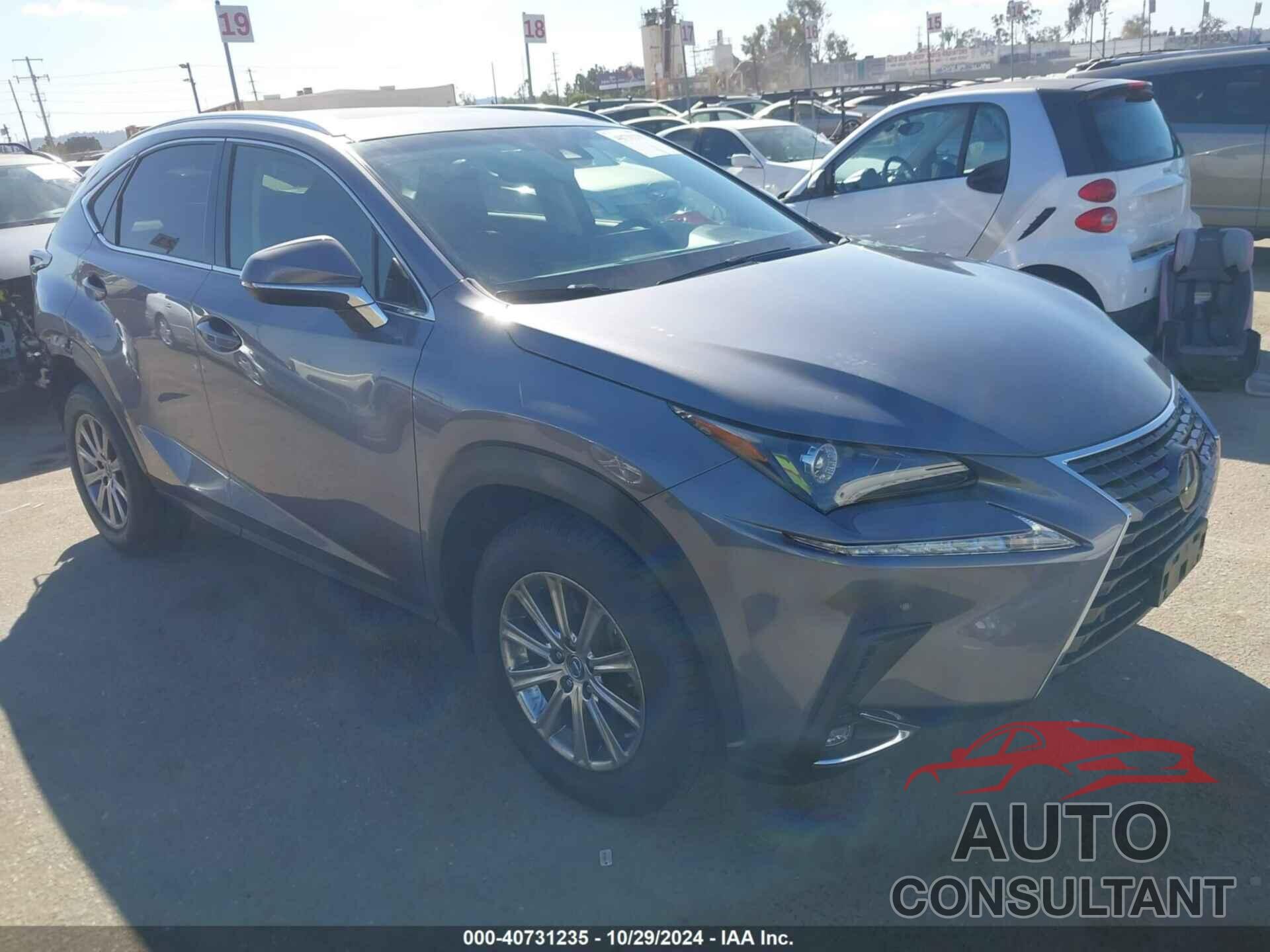 LEXUS NX 300 2019 - JTJYARBZ7K2146643