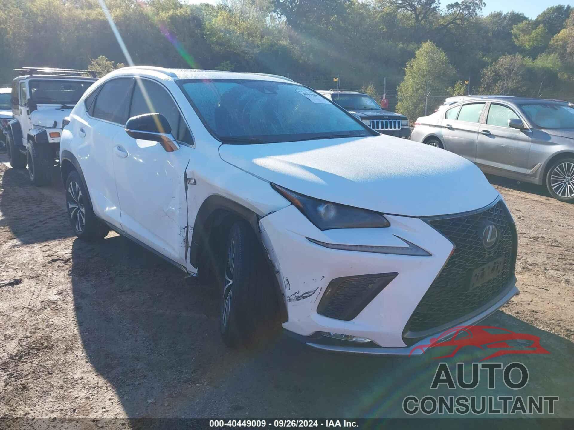 LEXUS NX 2020 - JTJSARDZXL5016701