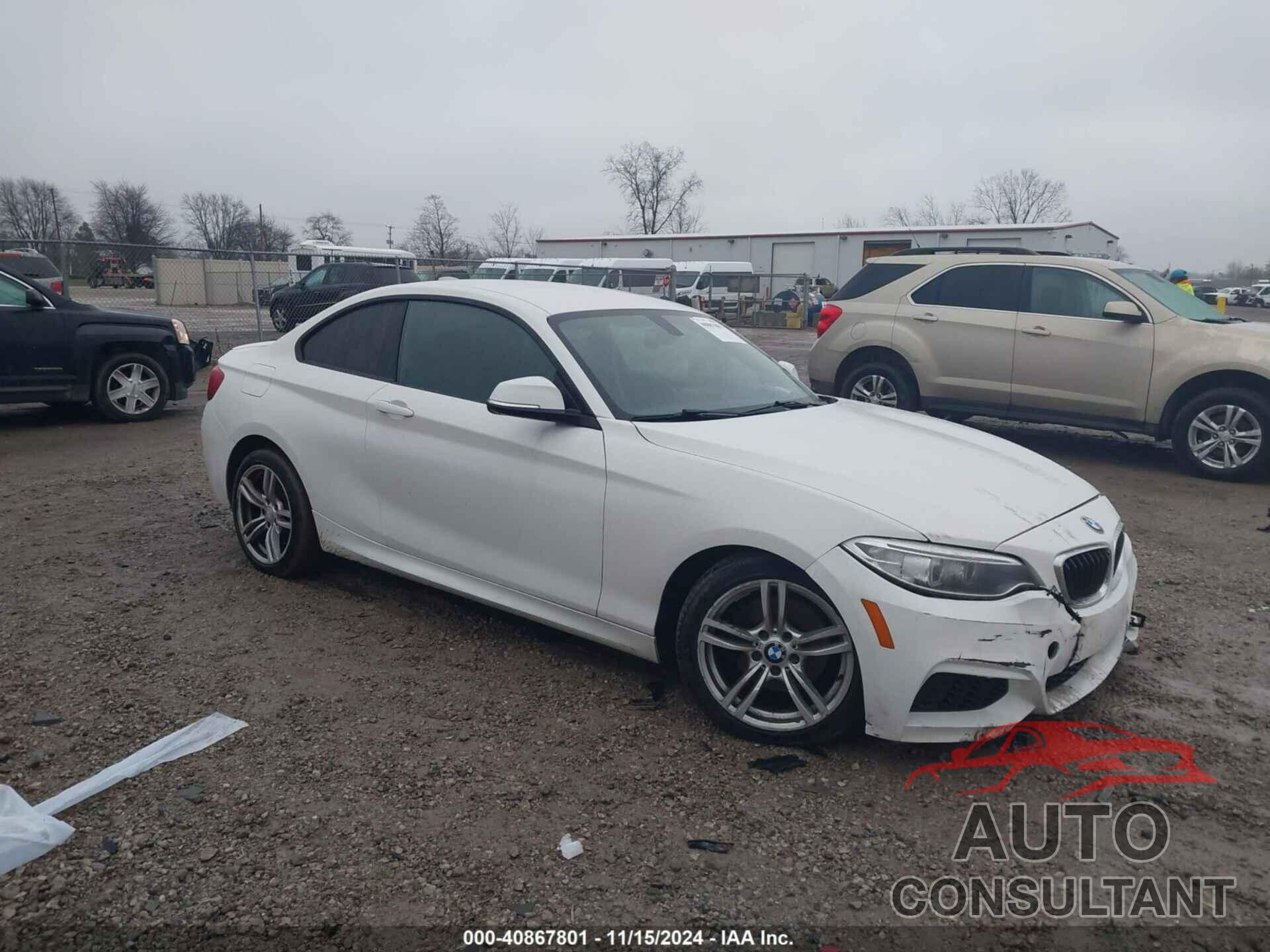 BMW 228I 2016 - WBA1G9C51GV727069