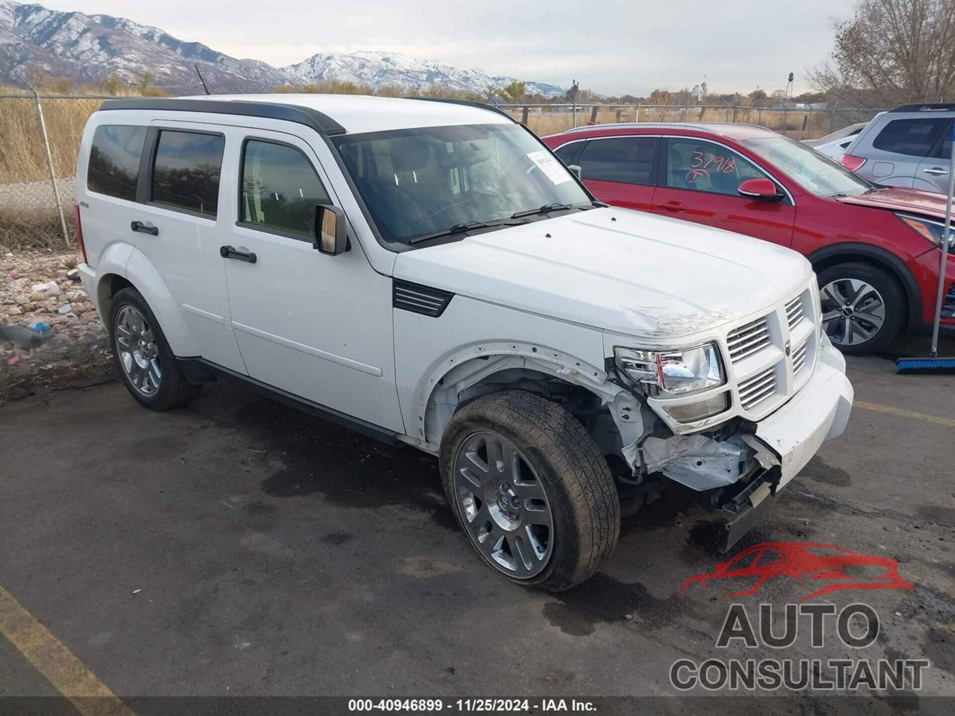 DODGE NITRO 2011 - 1D4PU4GX2BW574471