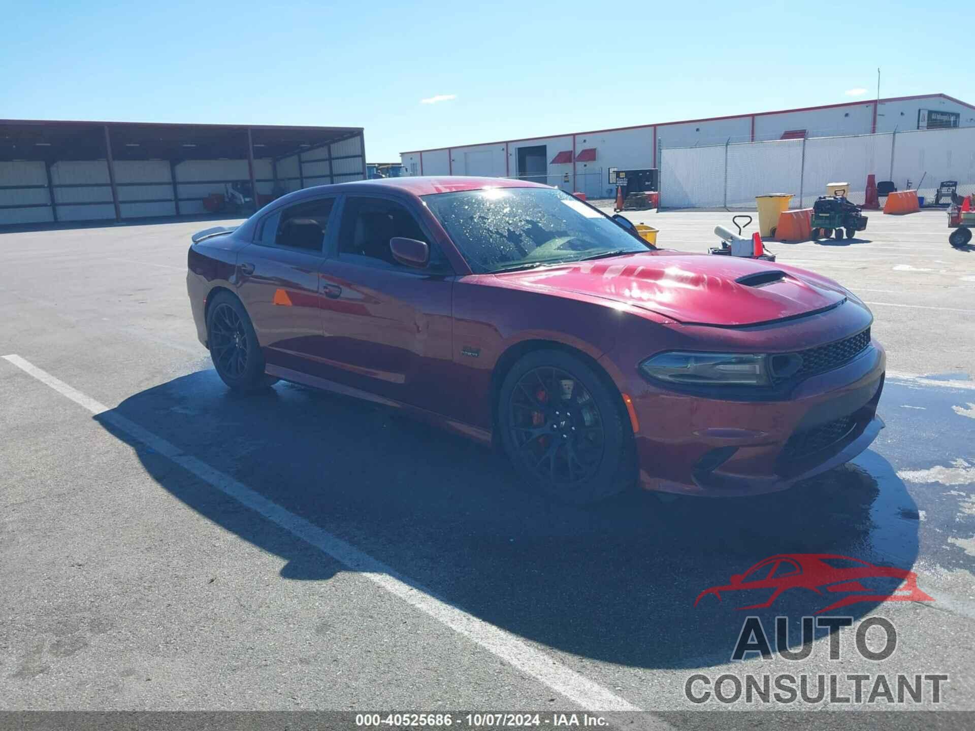 DODGE CHARGER 2019 - 2C3CDXGJ3KH721456