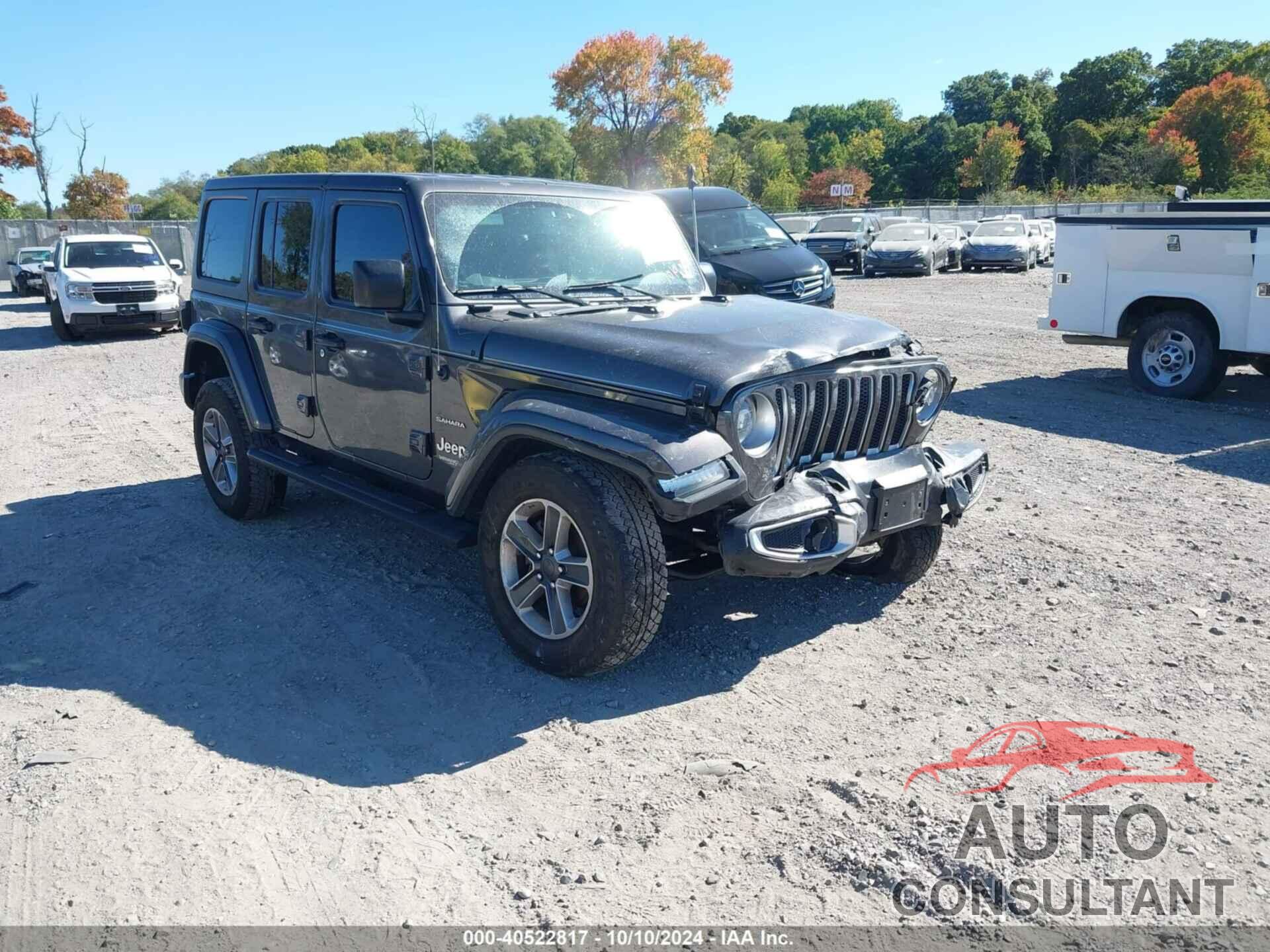 JEEP WRANGLER UNLIMITED 2020 - 1C4HJXEG3LW120763
