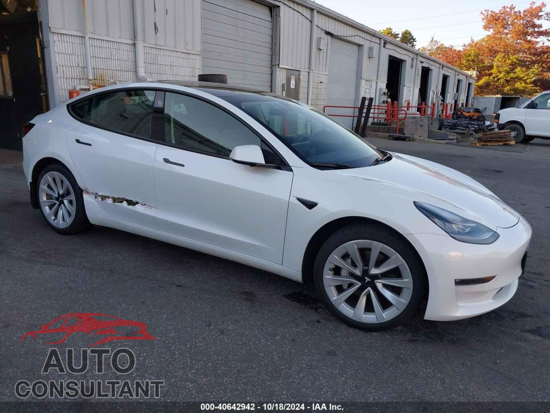 TESLA MODEL 3 2021 - 5YJ3E1EBXMF855729