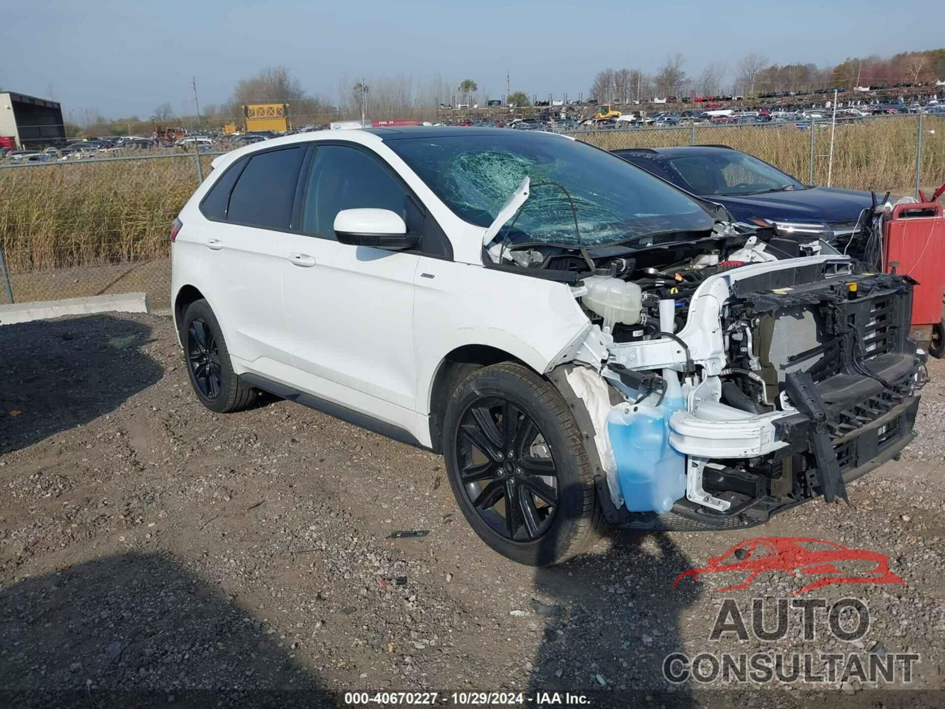 FORD EDGE 2024 - 2FMPK4J91RBA13277