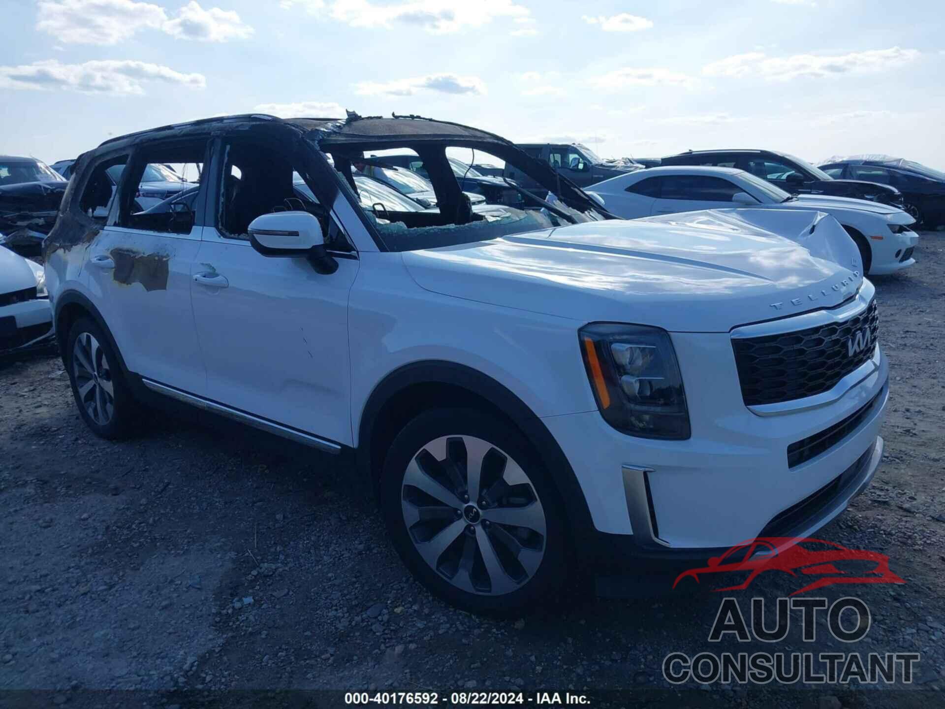 KIA TELLURIDE 2022 - 5XYP3DHC0NG253199