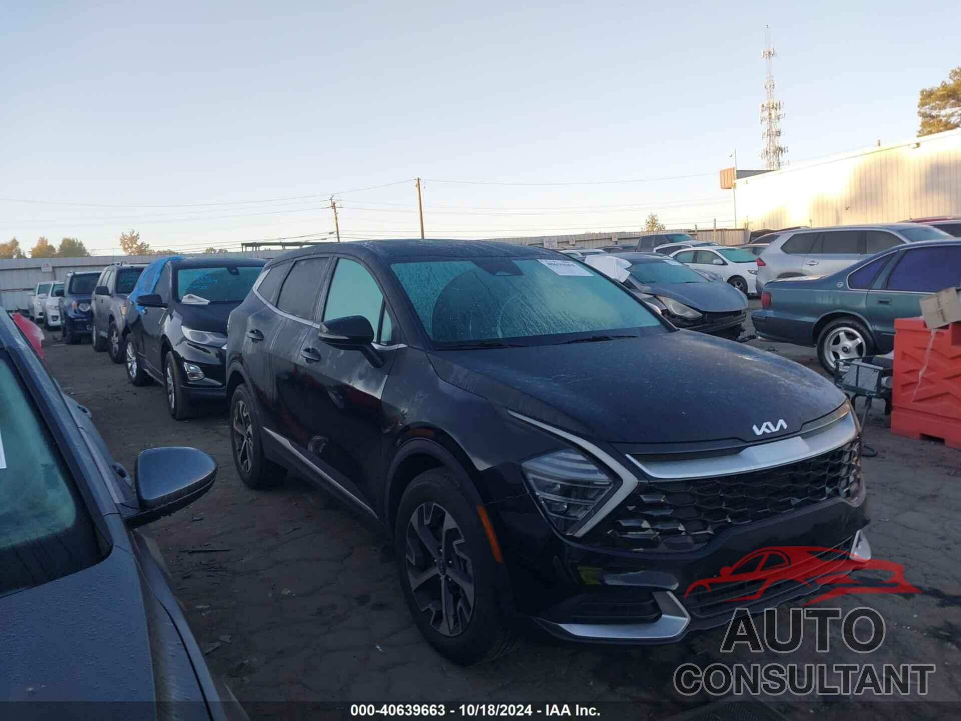 KIA SPORTAGE 2024 - 5XYK33DF4RG199545