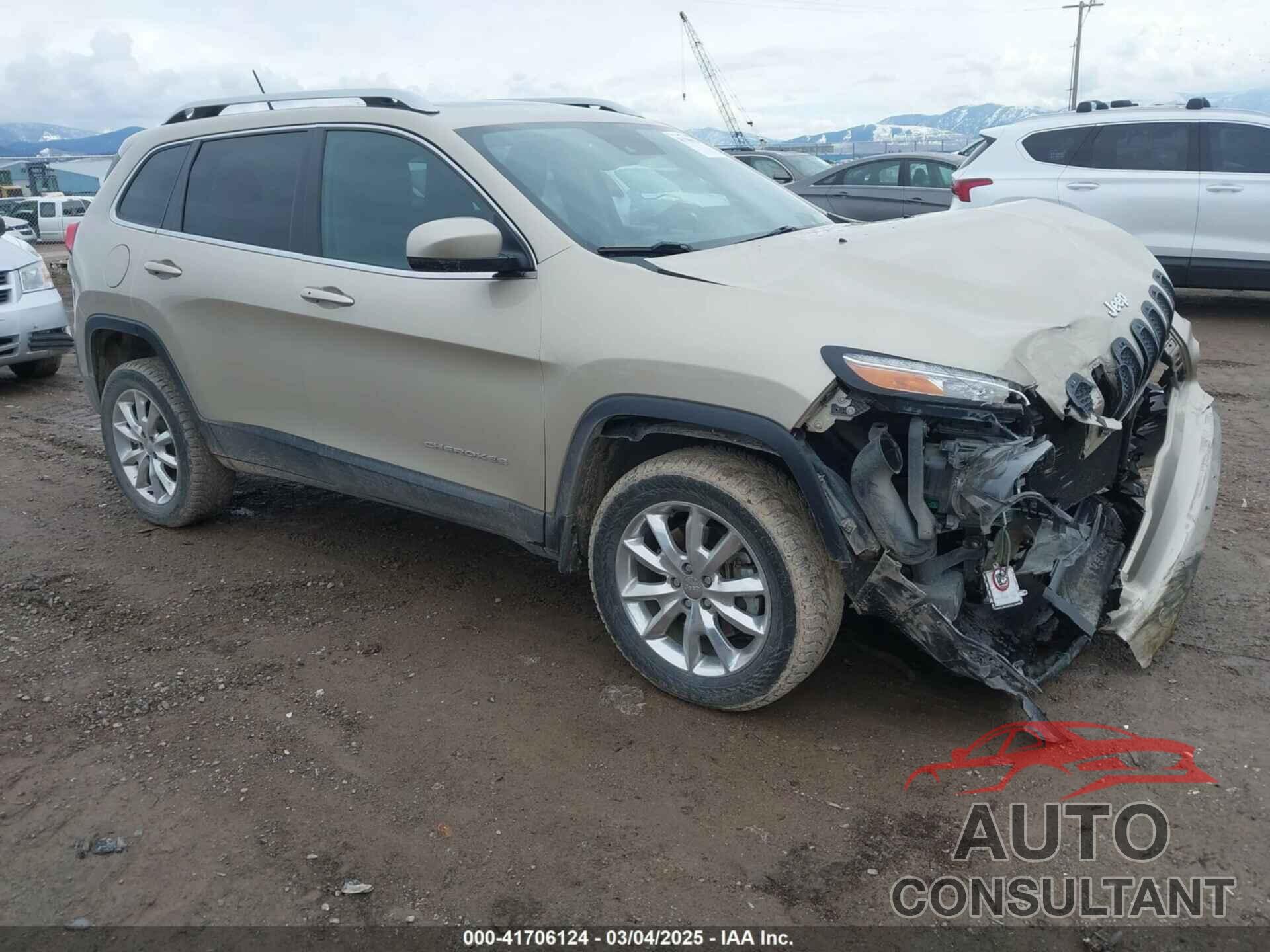 JEEP CHEROKEE 2014 - 1C4PJMDS9EW308609
