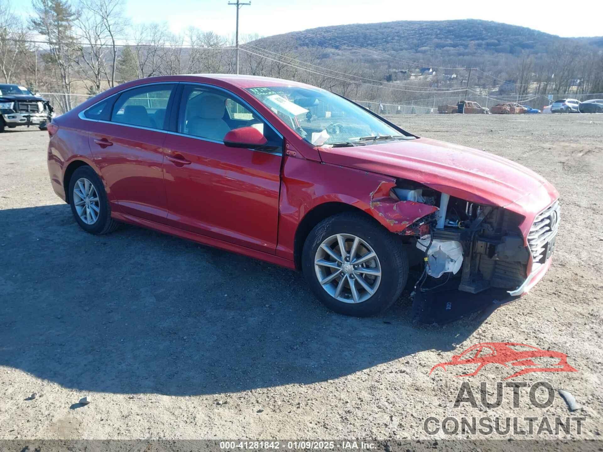 HYUNDAI SONATA 2019 - 5NPE24AF6KH759817