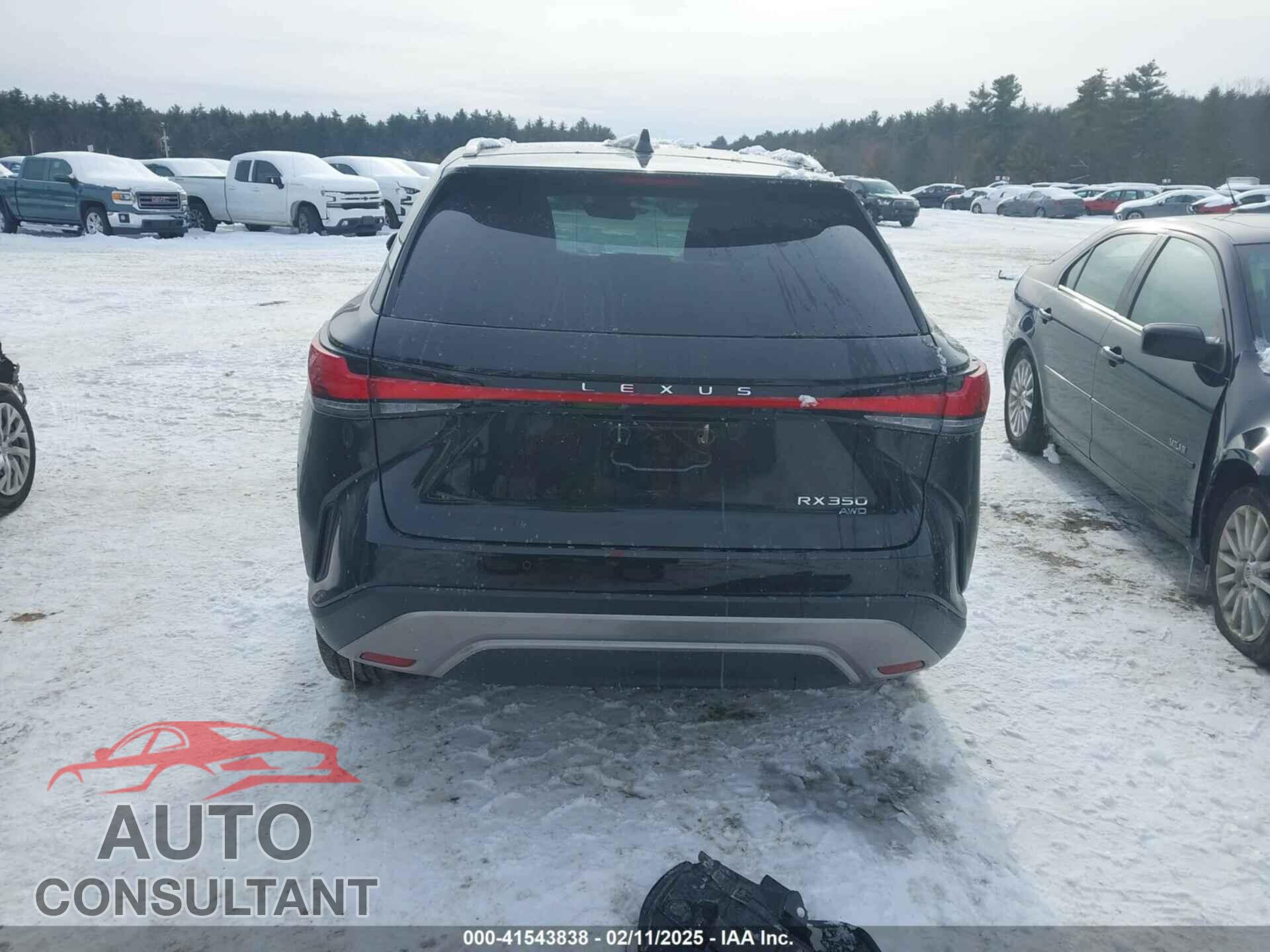 LEXUS RX 350 2024 - 2T2BAMCA8RC042688