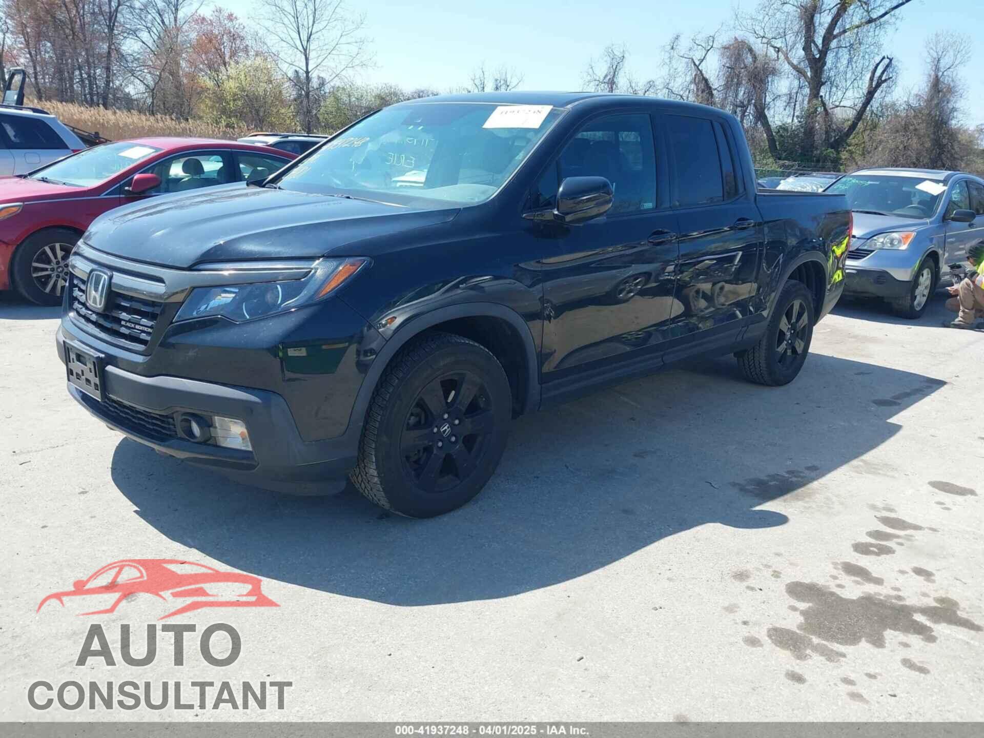 HONDA RIDGELINE 2019 - 5FPYK3F82KB014781