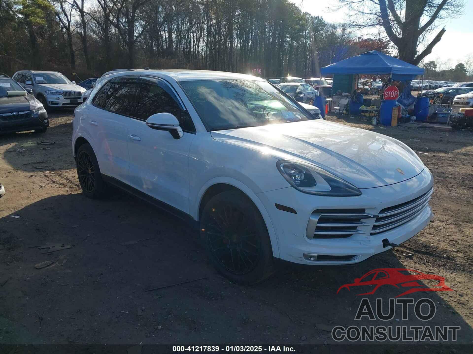 PORSCHE CAYENNE 2020 - WP1AA2AY1LDA07925