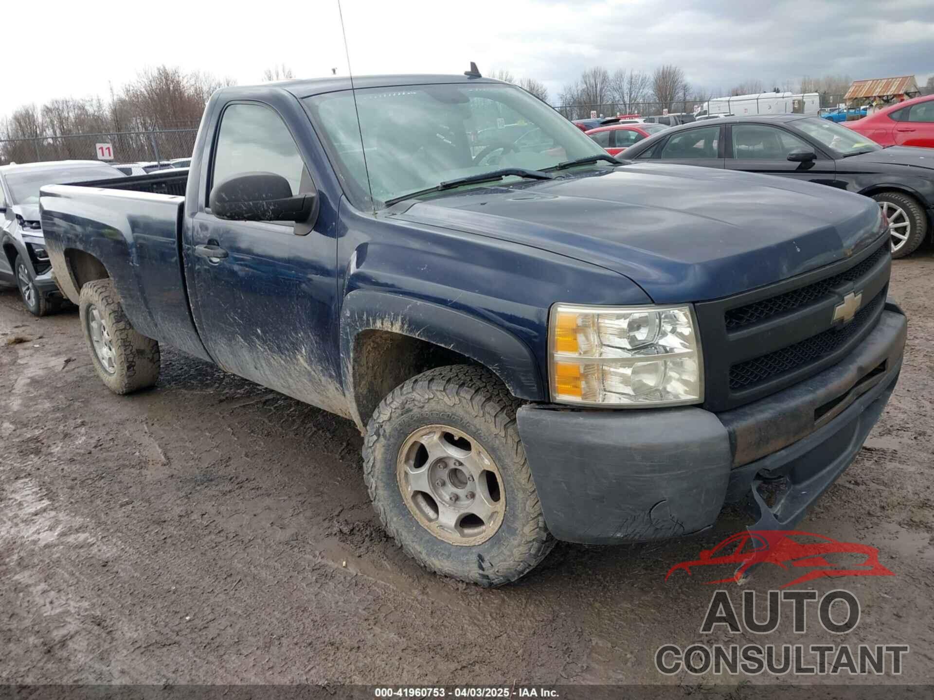 CHEVROLET SILVERADO 1500 2009 - 1GCEK14C59Z127247