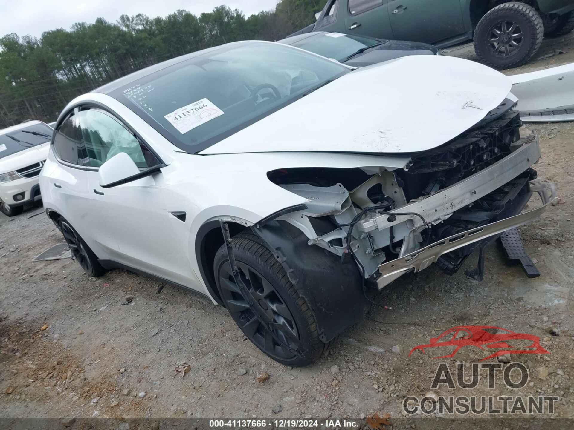 TESLA MODEL Y 2021 - 5YJYGDEE0MF199164