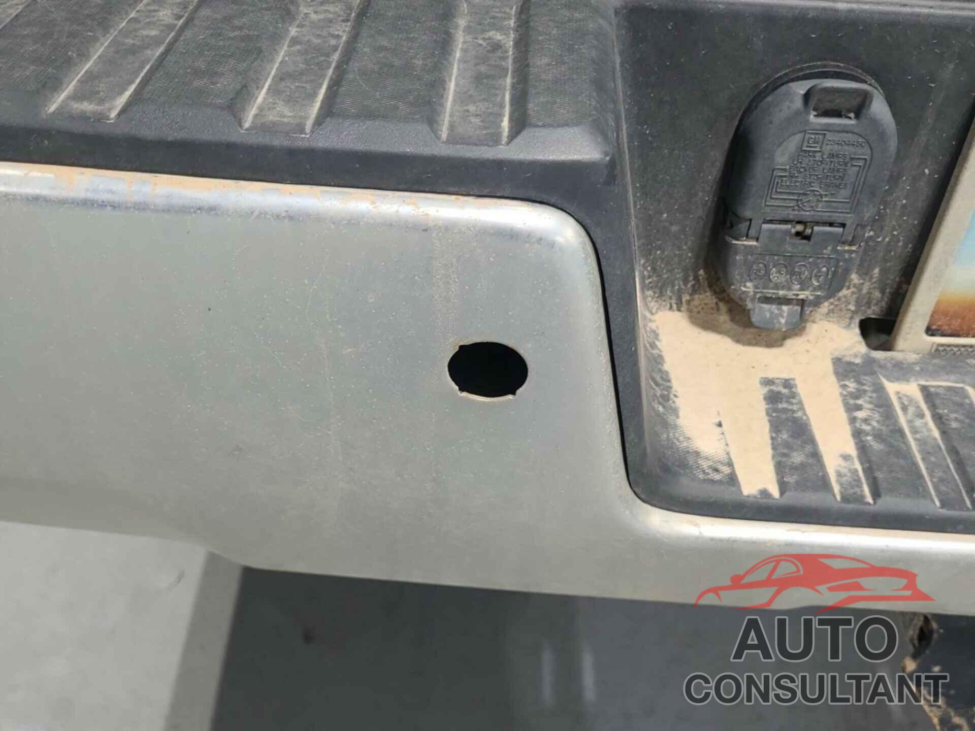 CHEVROLET SILVERADO 2019 - 1GC1KSEG3KF263549