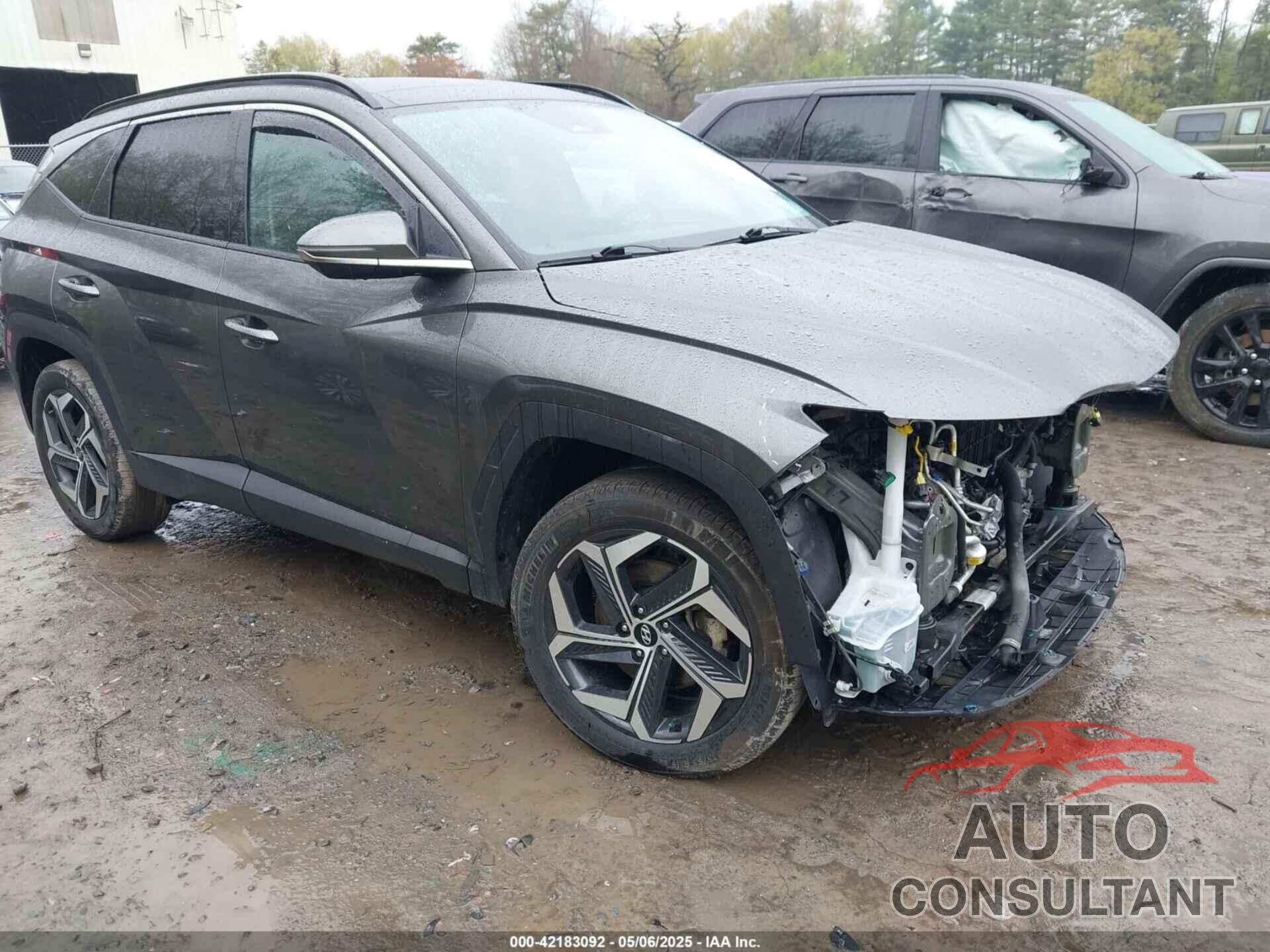 HYUNDAI TUCSON 2023 - 5NMJECAE4PH252619