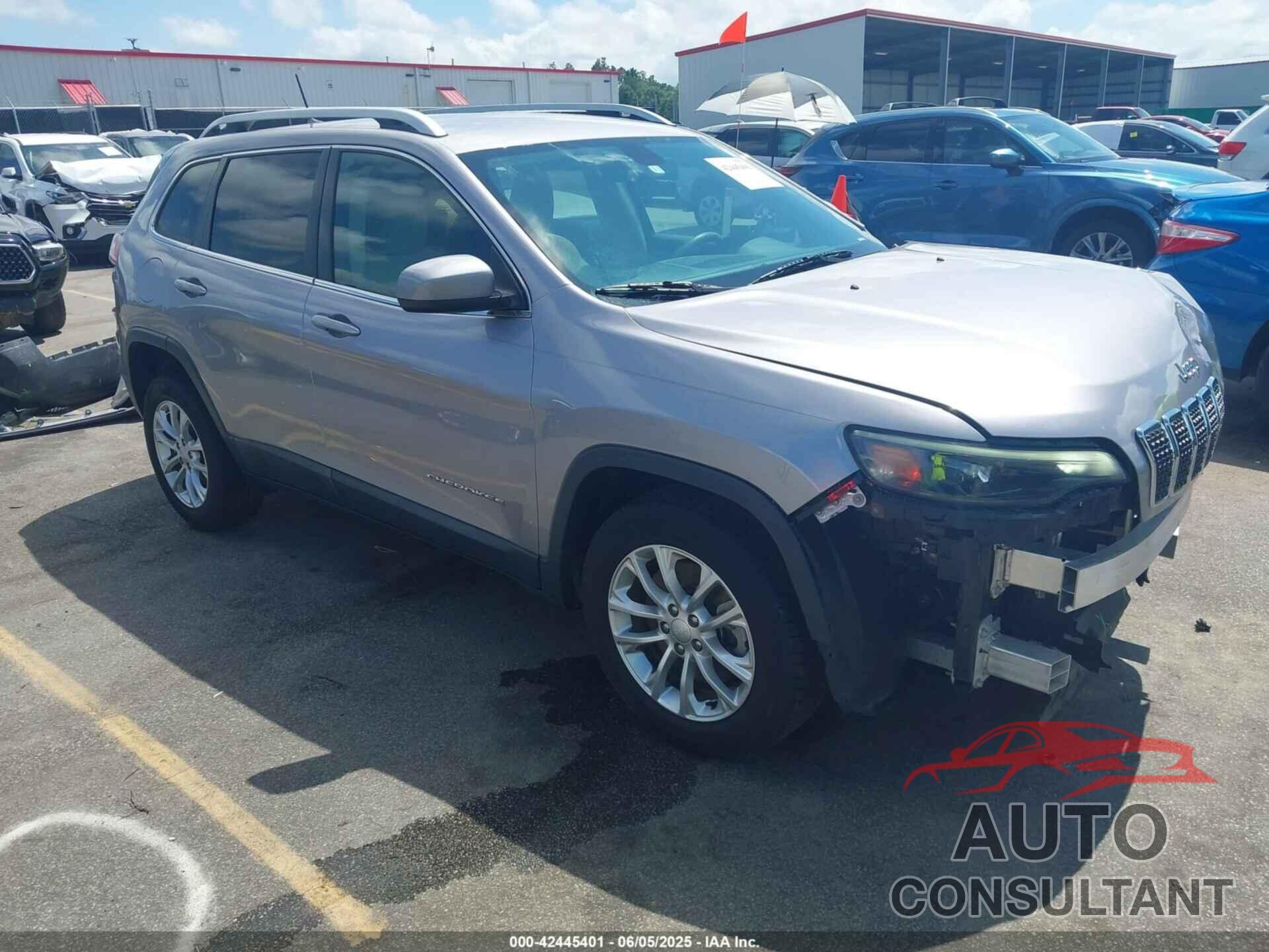 JEEP CHEROKEE 2019 - 1C4PJLCB2KD325965