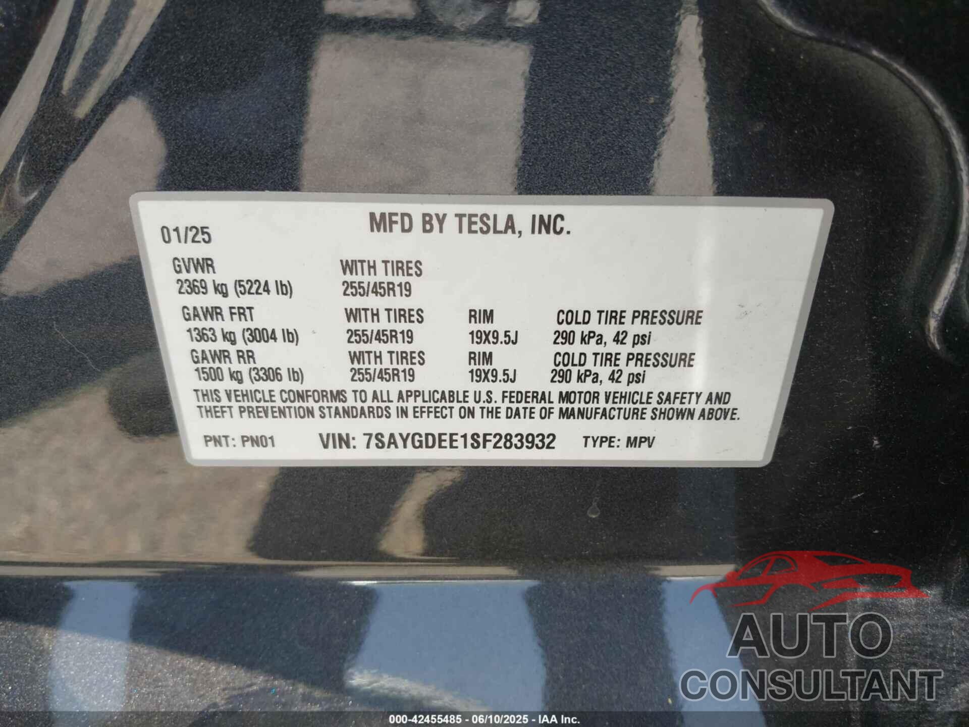 TESLA MODEL Y 2025 - 7SAYGDEE1SF283932