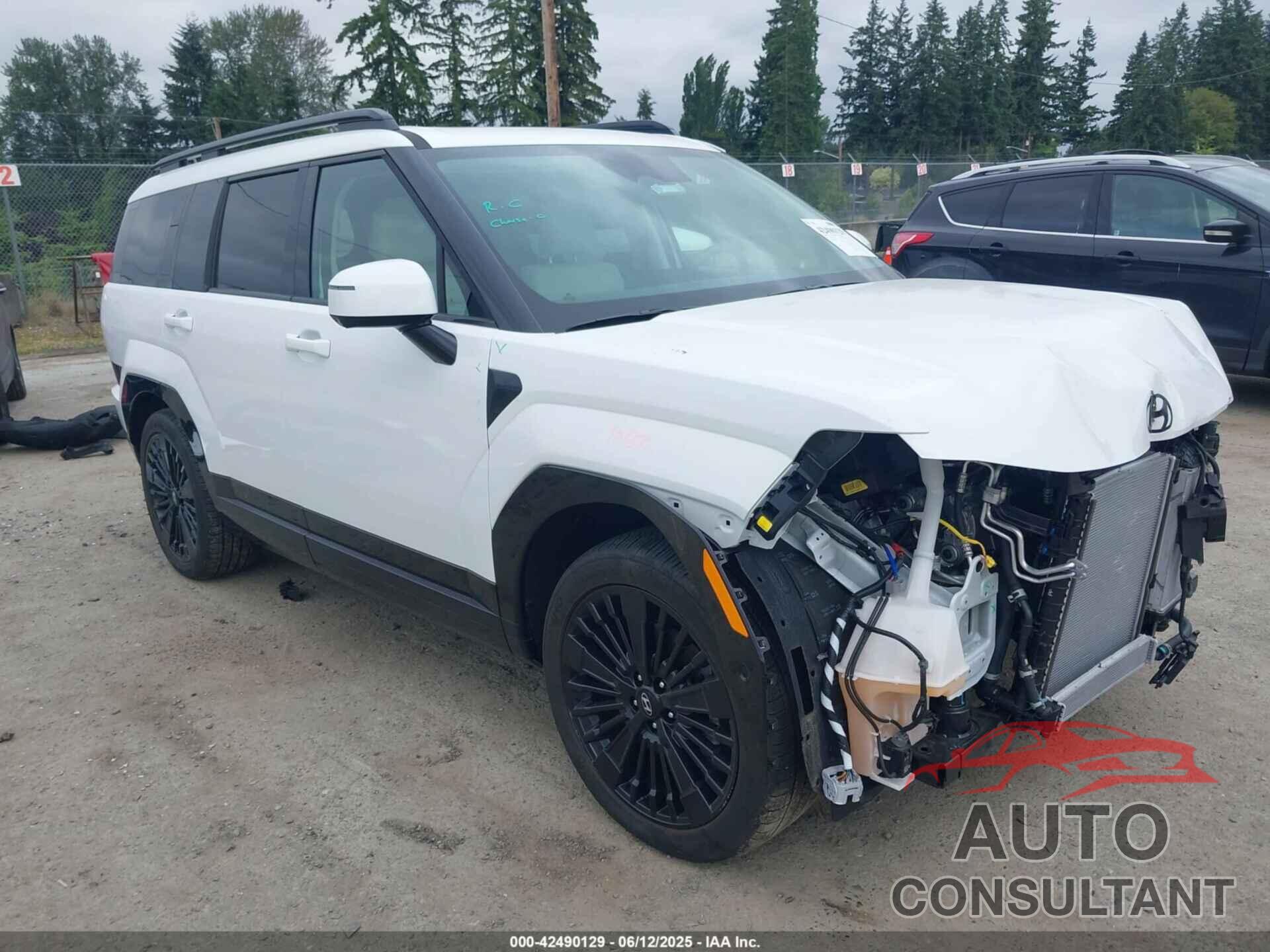 HYUNDAI SANTA FE HYBRID 2025 - 5NMP5DG12SH017276