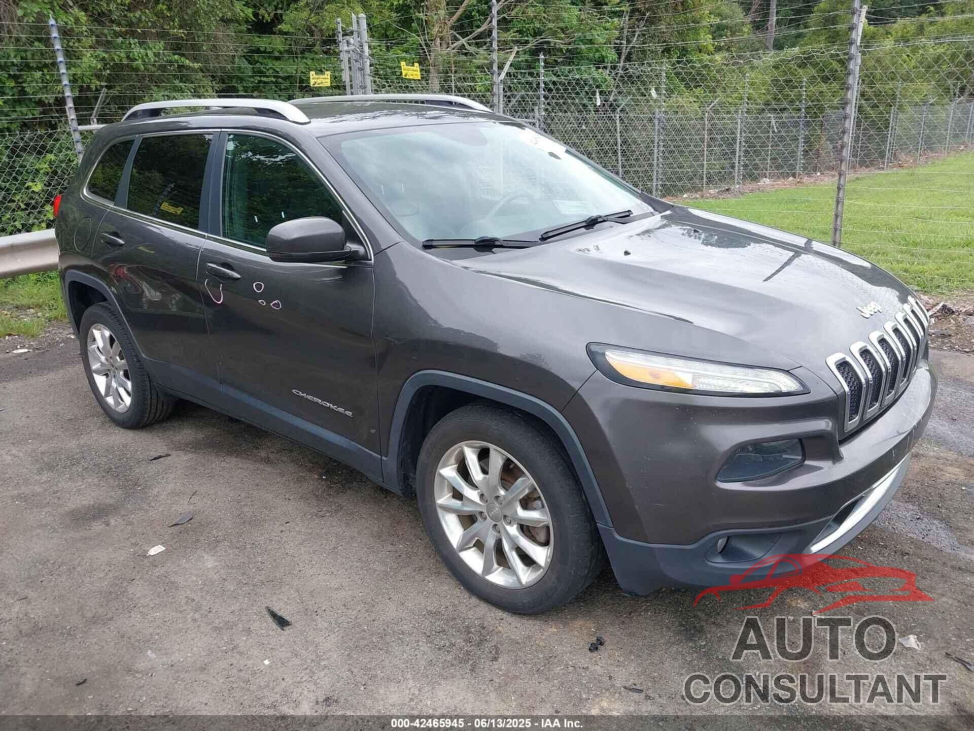 JEEP CHEROKEE 2016 - 1C4PJLDBXGW211996