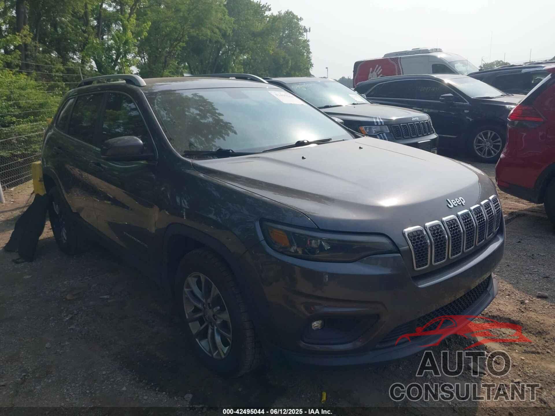 JEEP CHEROKEE 2019 - 1C4PJLLX3KD110171