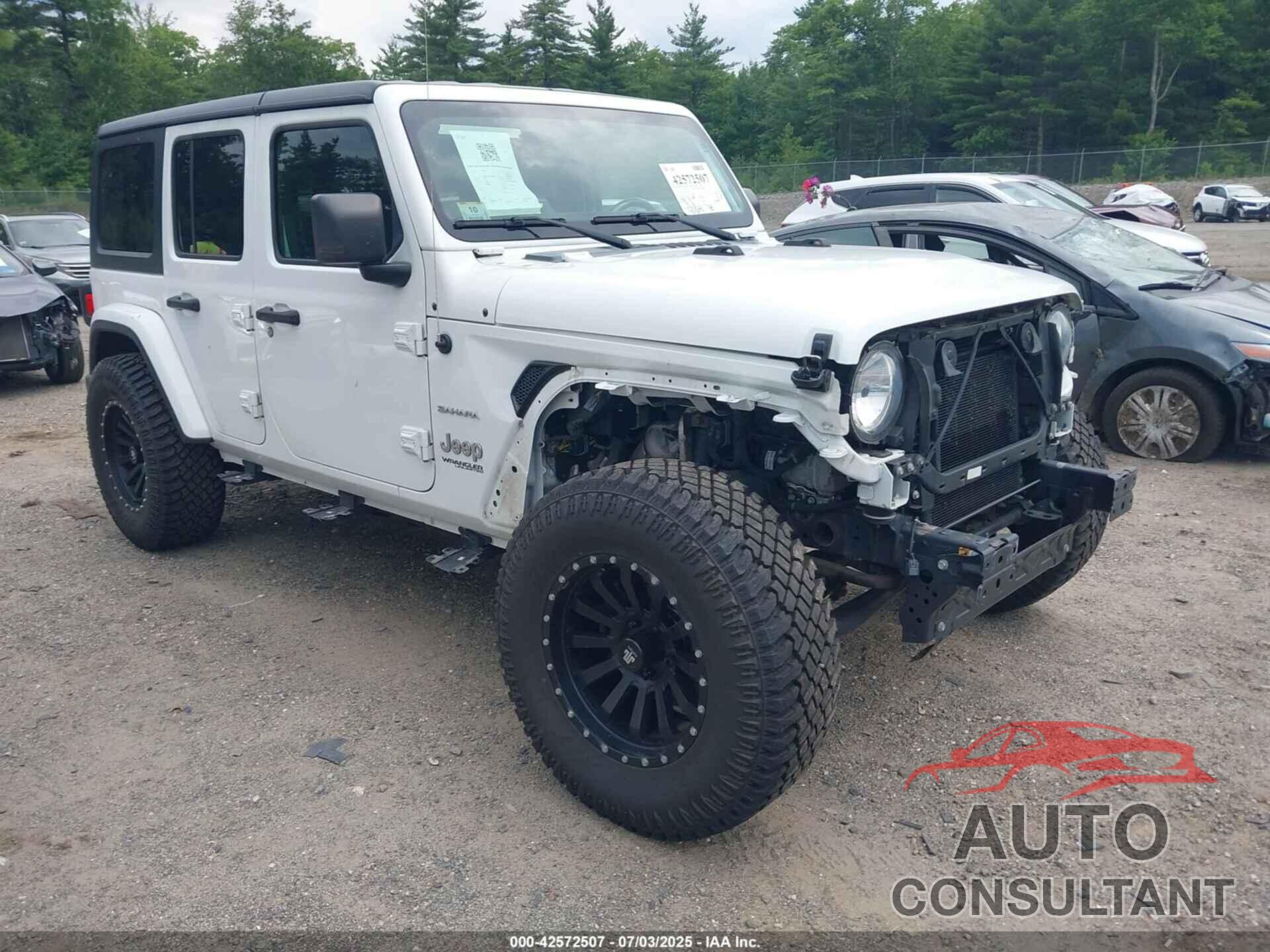 JEEP WRANGLER UNLIMITED 2019 - 1C4HJXEG7KW602196