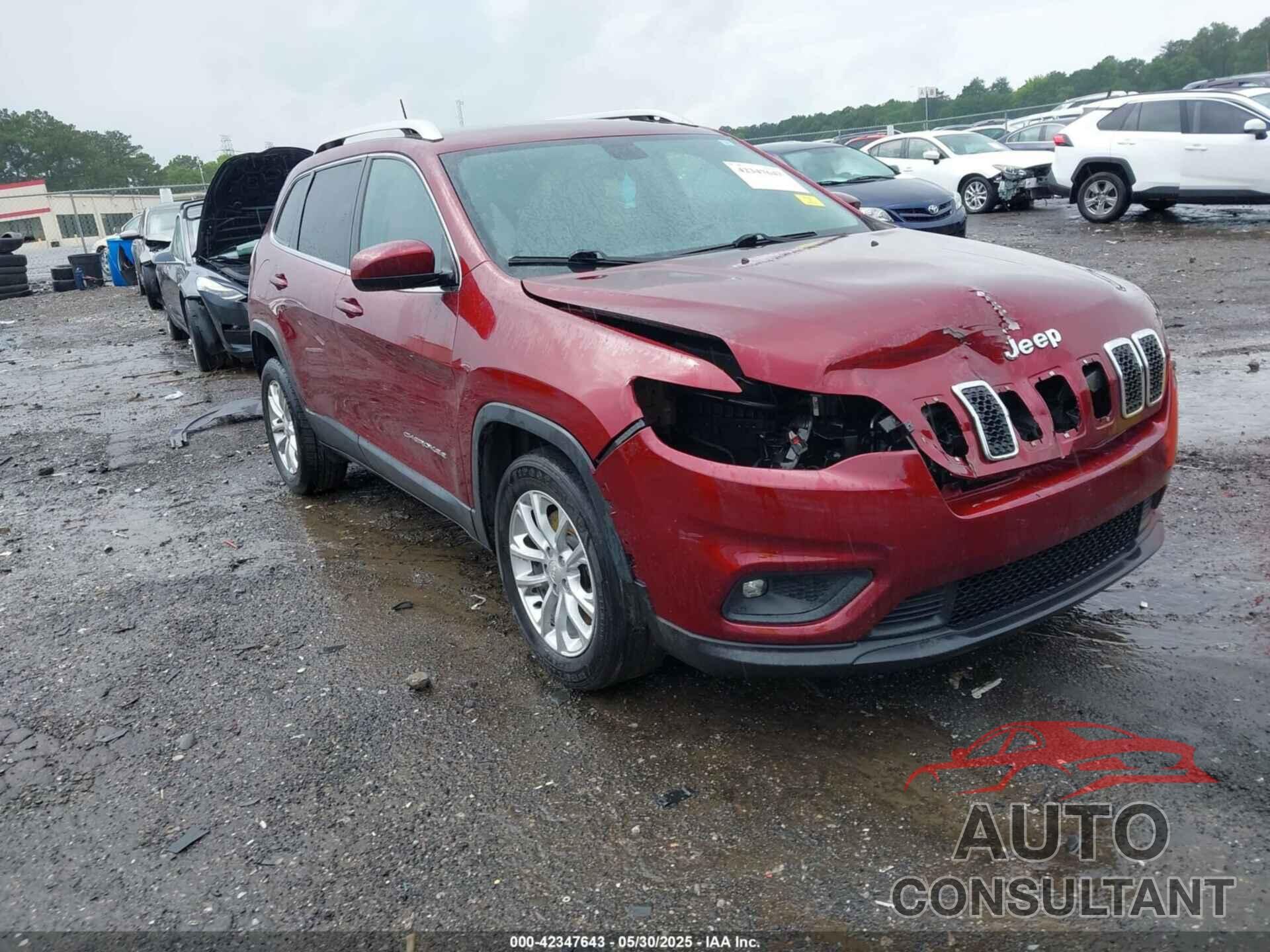 JEEP CHEROKEE 2019 - 1C4PJLCB1KD241460