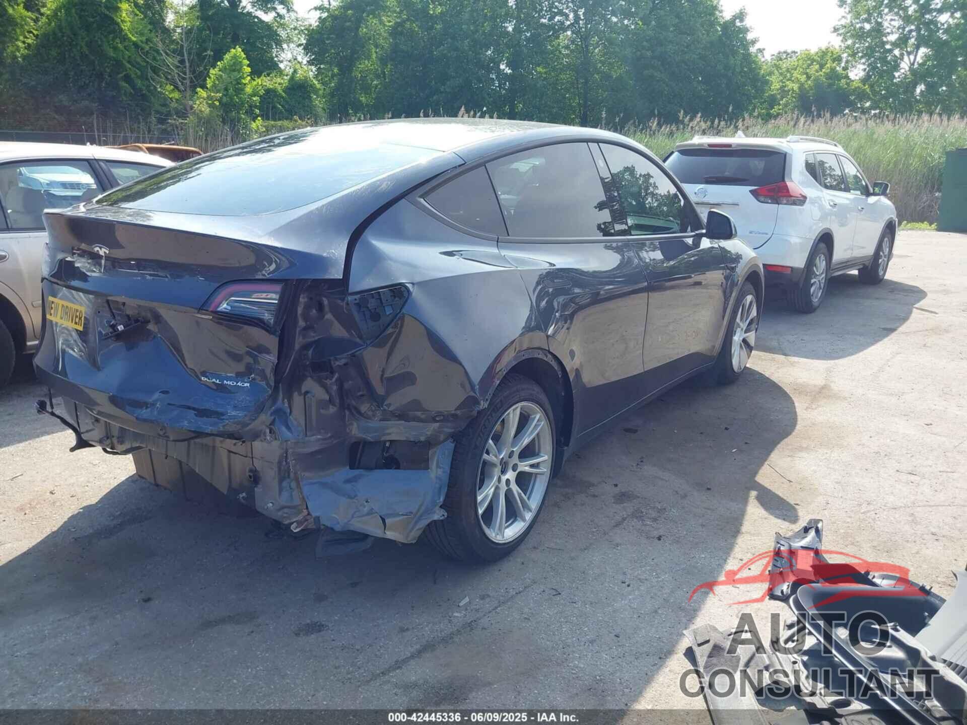 TESLA MODEL Y 2021 - 5YJYGAEE7MF146315