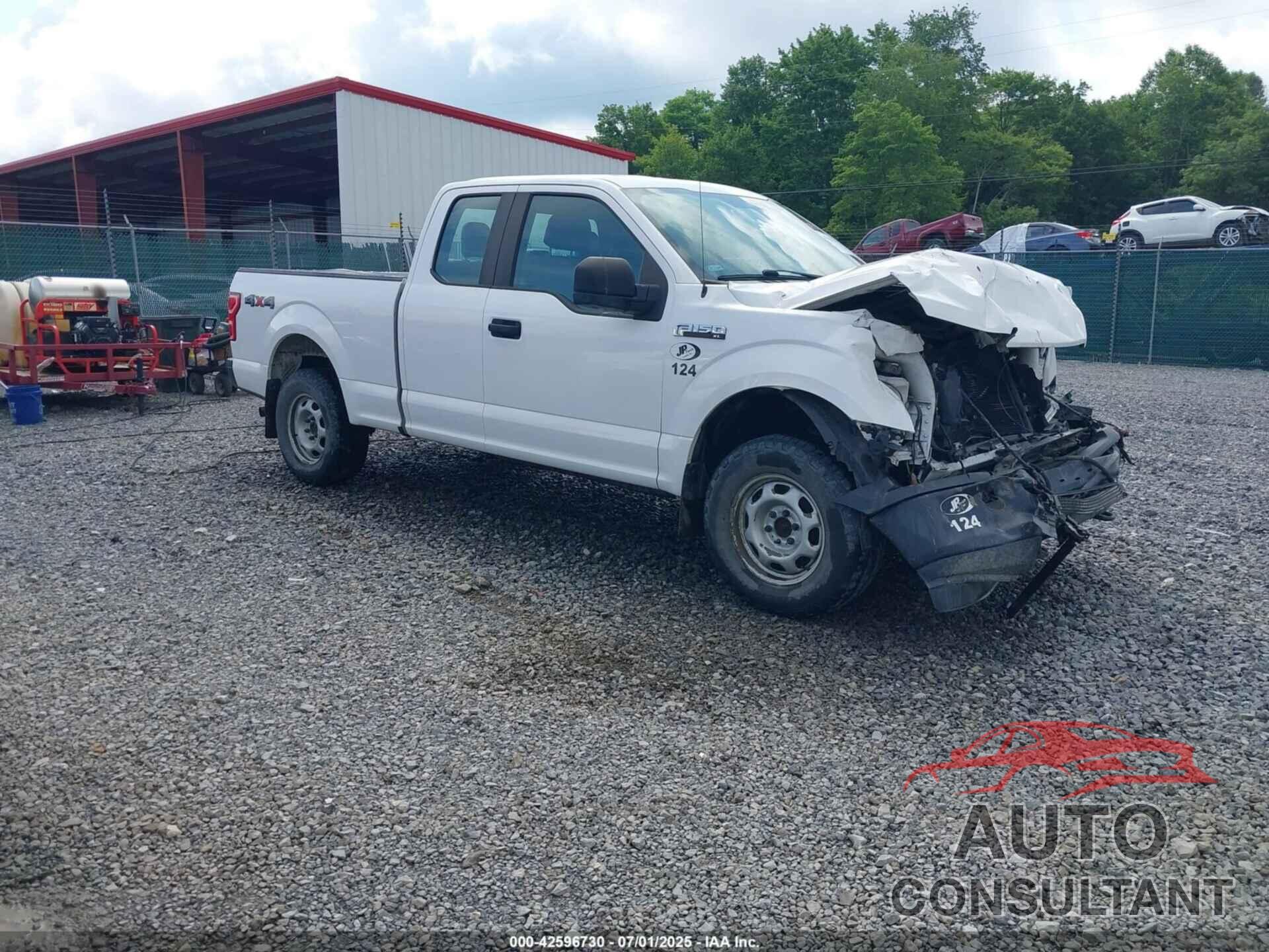 FORD F150 2019 - 1FTEX1EB7KKD84528