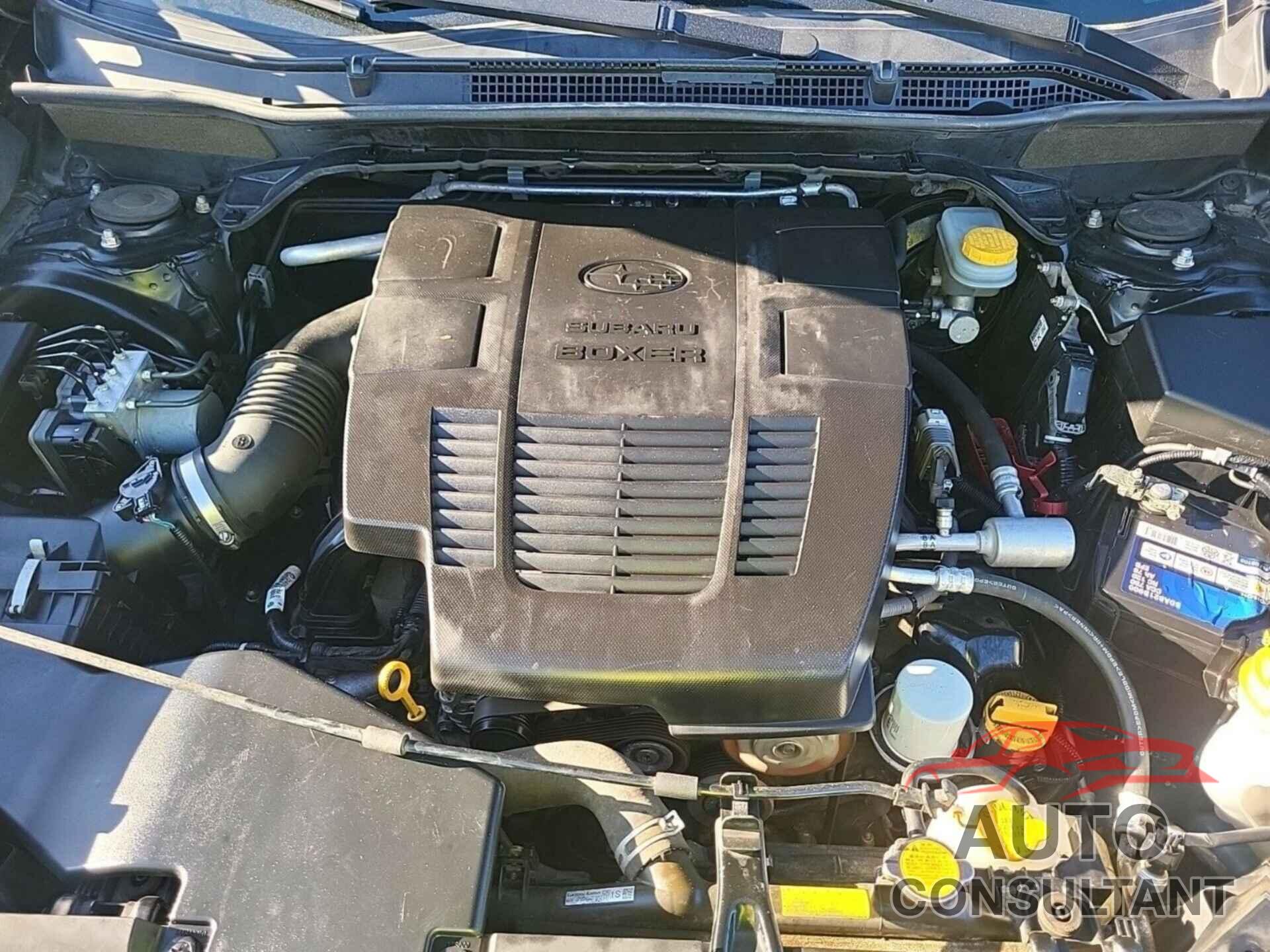 SUBARU FORESTER 2019 - JF2SKAGC5KH566542