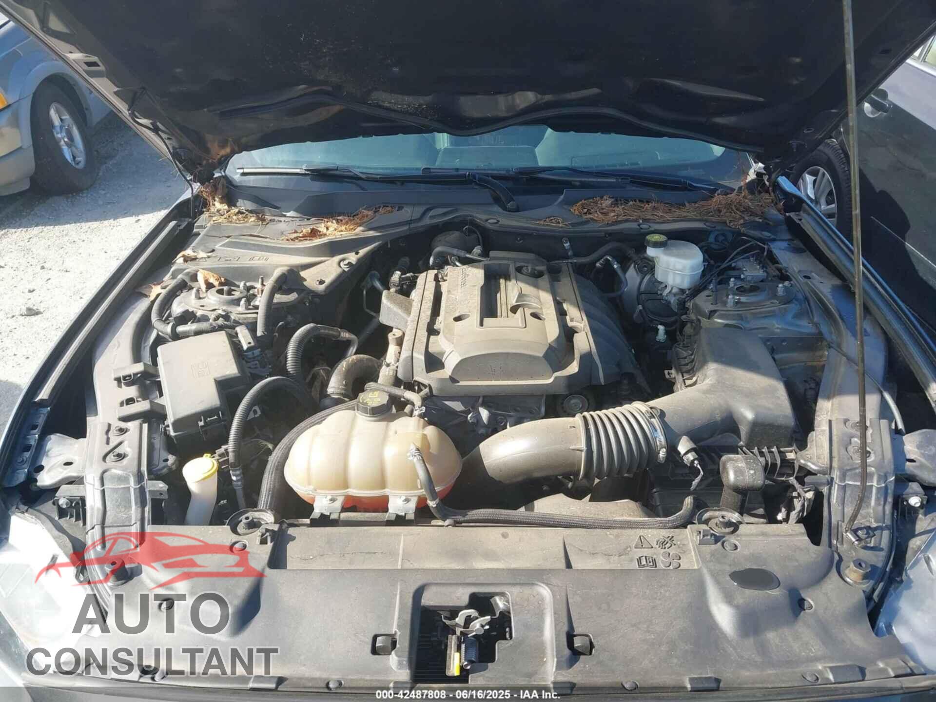 FORD MUSTANG 2019 - 1FA6P8TH5K5116389