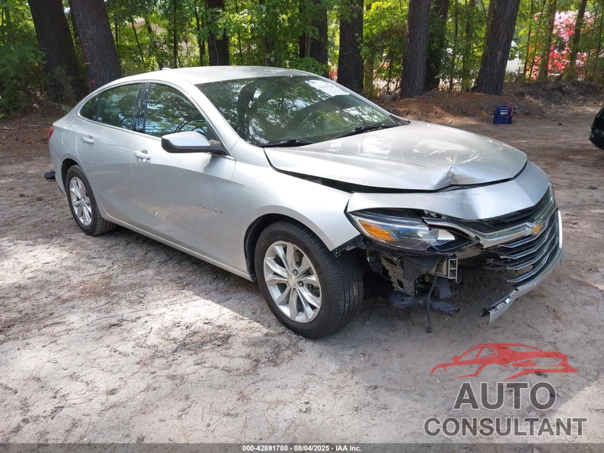 CHEVROLET MALIBU 2019 - 1G1ZD5ST1KF181540