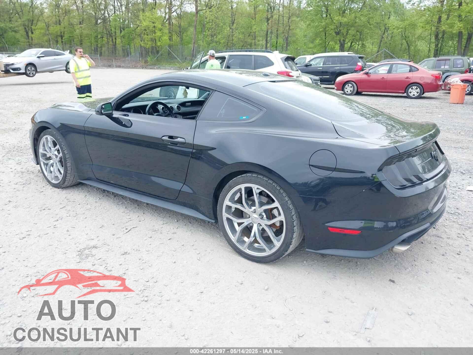 FORD MUSTANG 2019 - 1FA6P8TH8K5129816