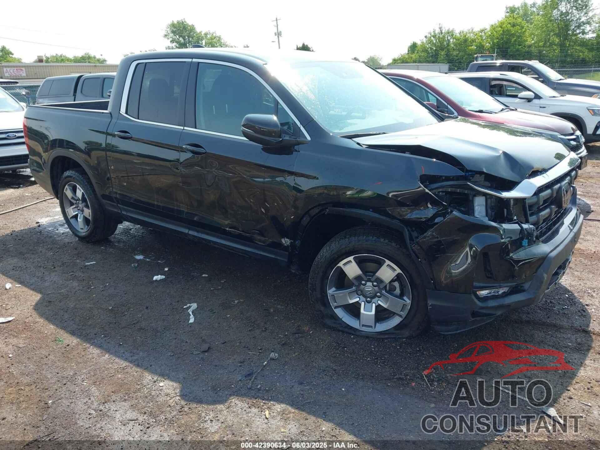 HONDA RIDGELINE 2024 - 5FPYK3F5XRB004113