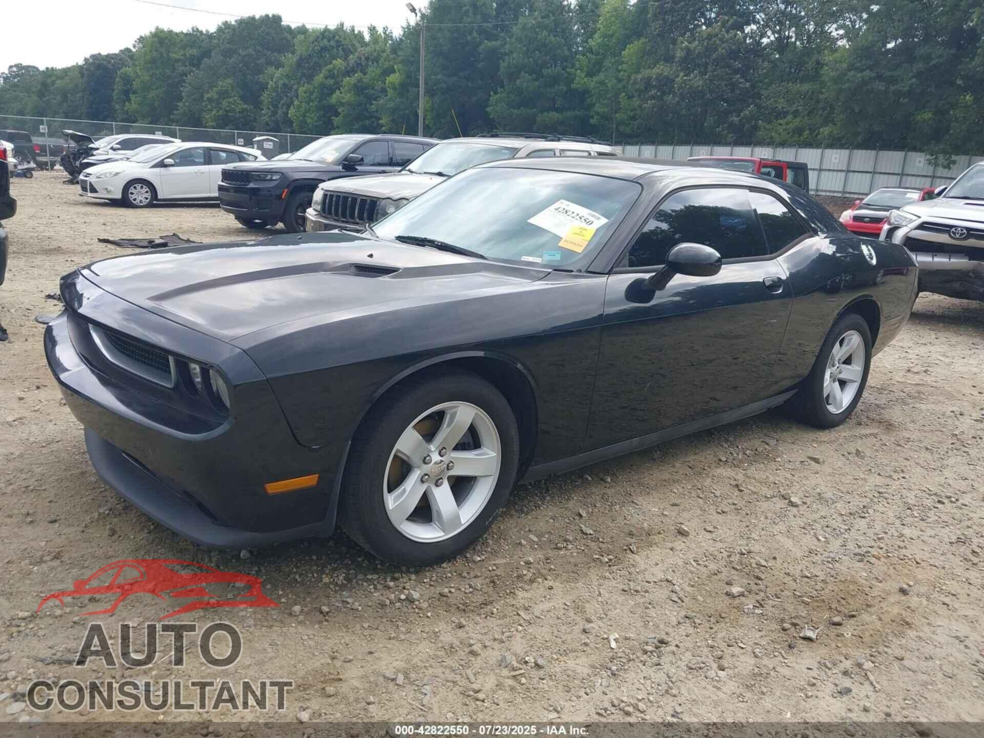 DODGE CHALLENGER 2013 - 2C3CDYAGXDH628102