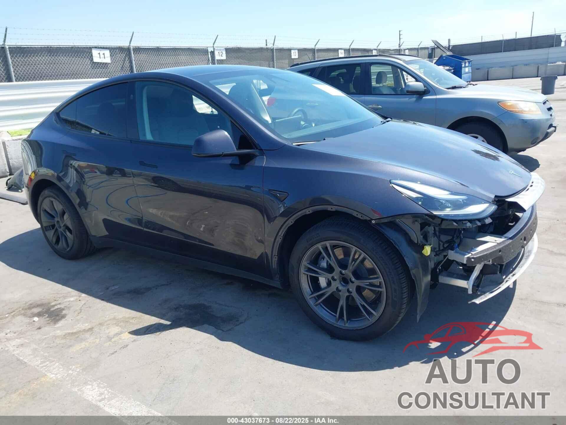 TESLA MODEL Y 2024 - 7SAYGDED4RF156173