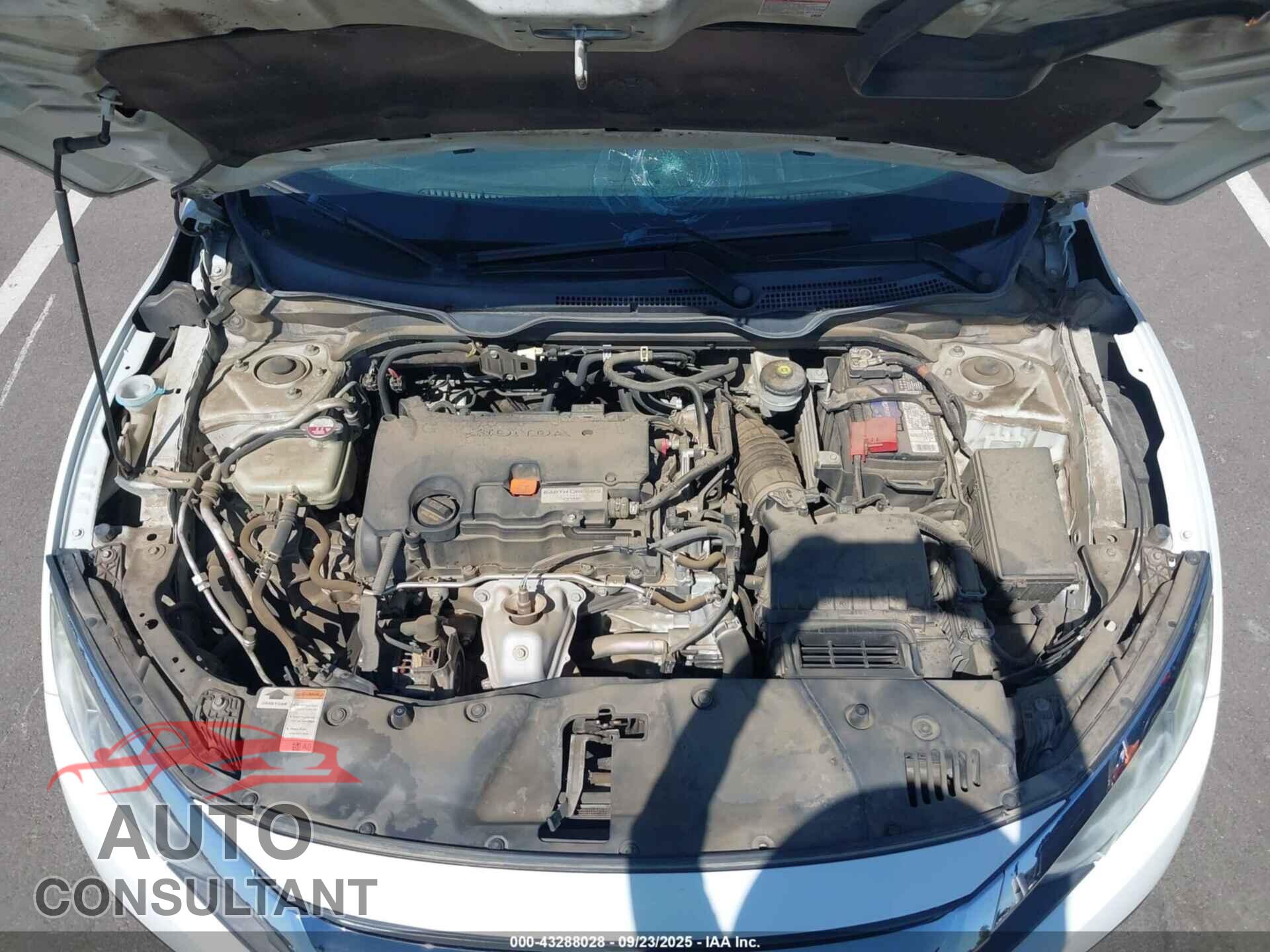 HONDA CIVIC 2017 - 2HGFC2F78HH555529