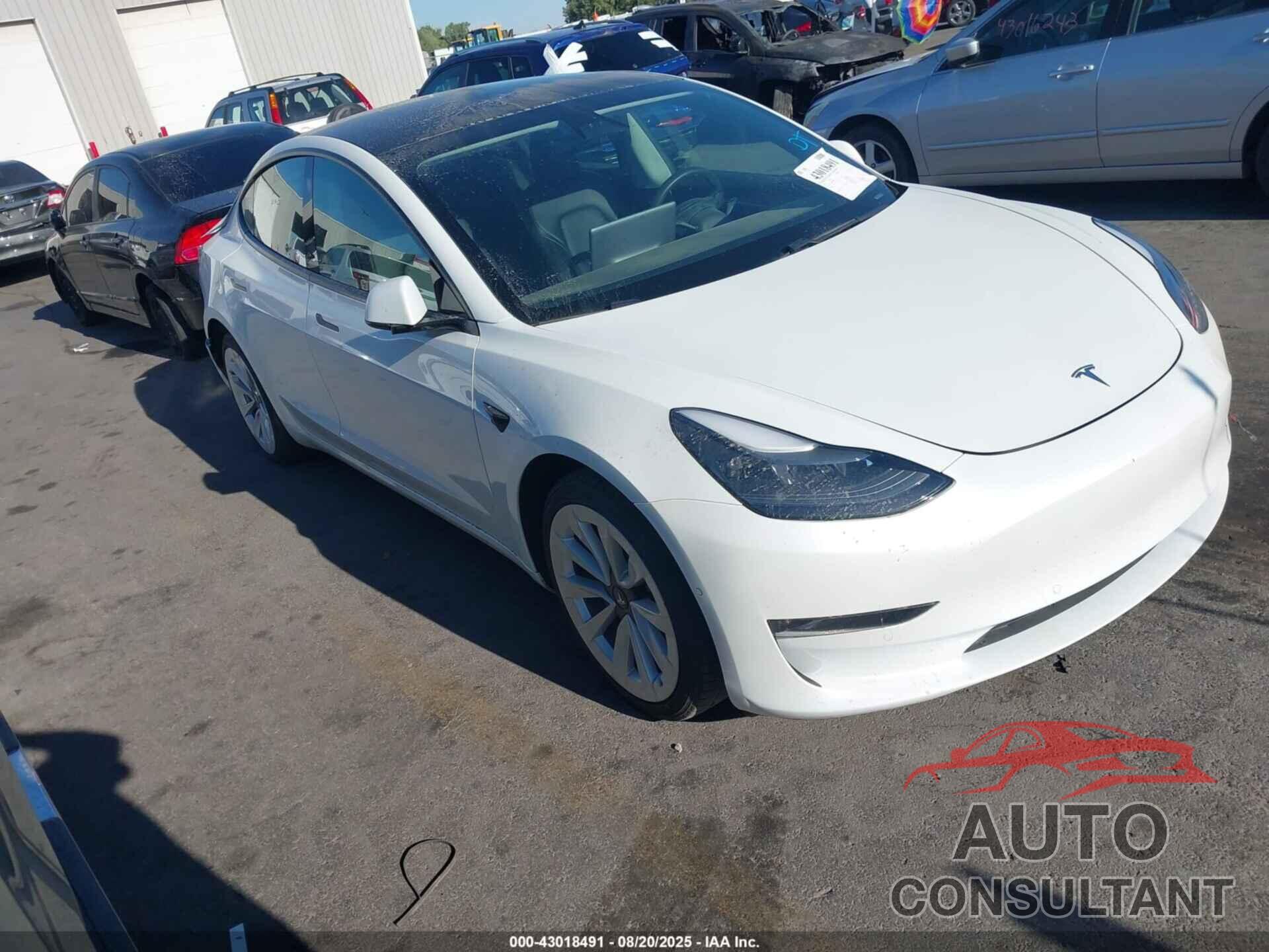 TESLA MODEL 3 2021 - 5YJ3E1EB8MF064986