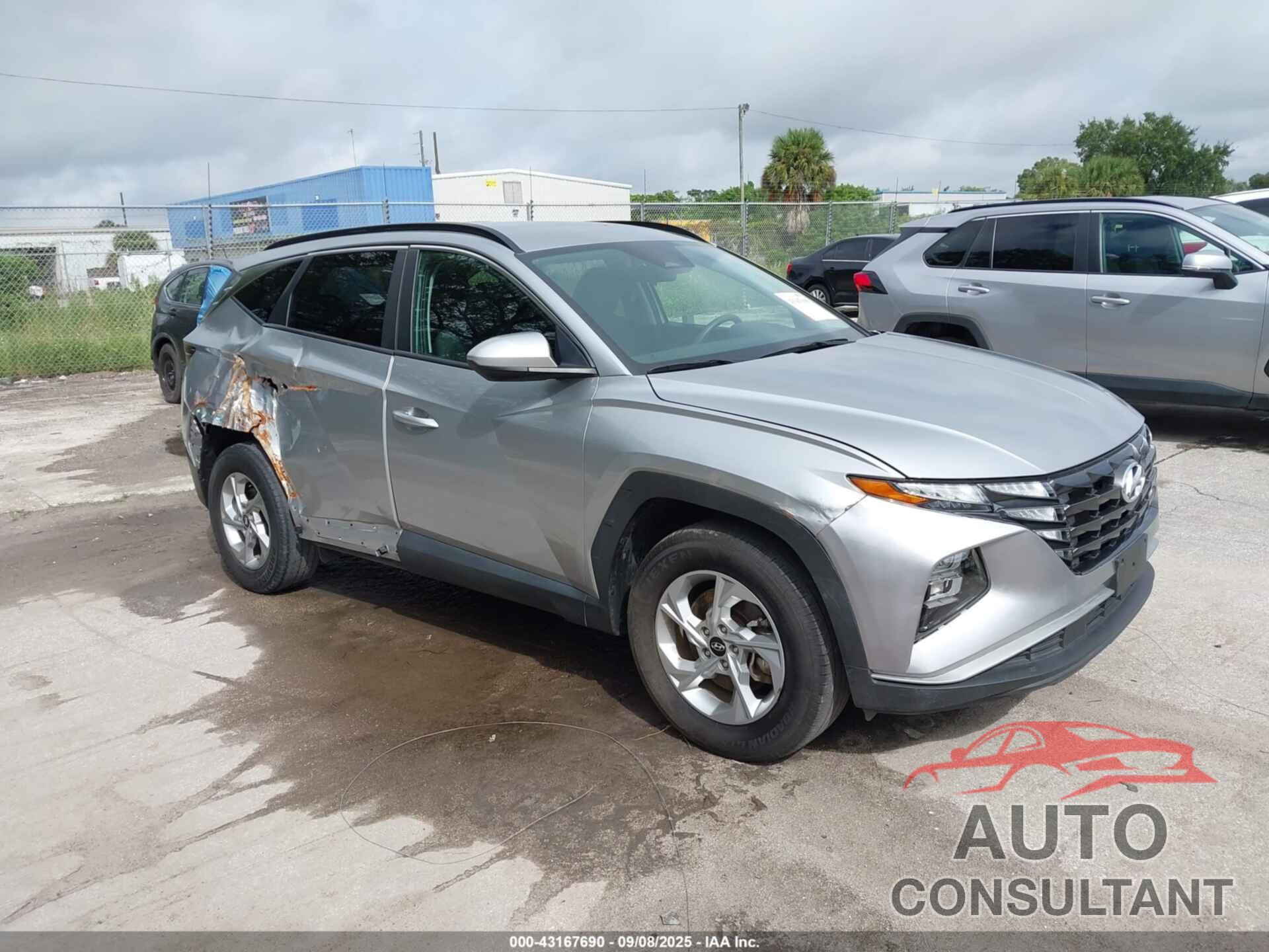 HYUNDAI TUCSON 2024 - 5NMJBCDE2RH387749