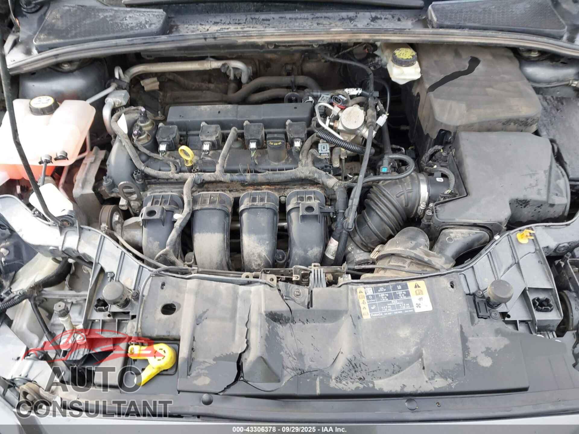FORD FOCUS 2017 - 1FADP3F21HL271365