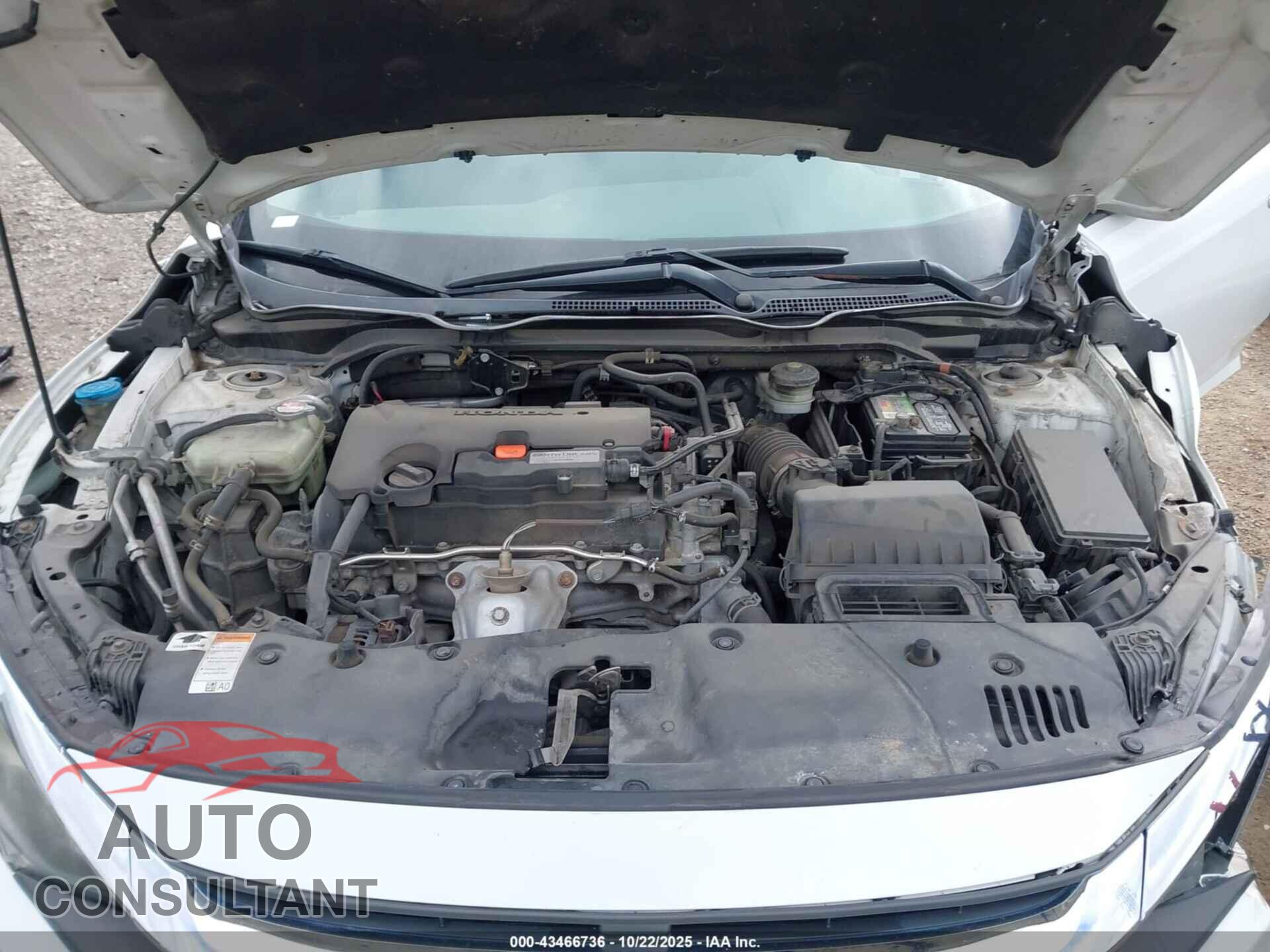 HONDA CIVIC 2017 - 19XFC2F71HE034971