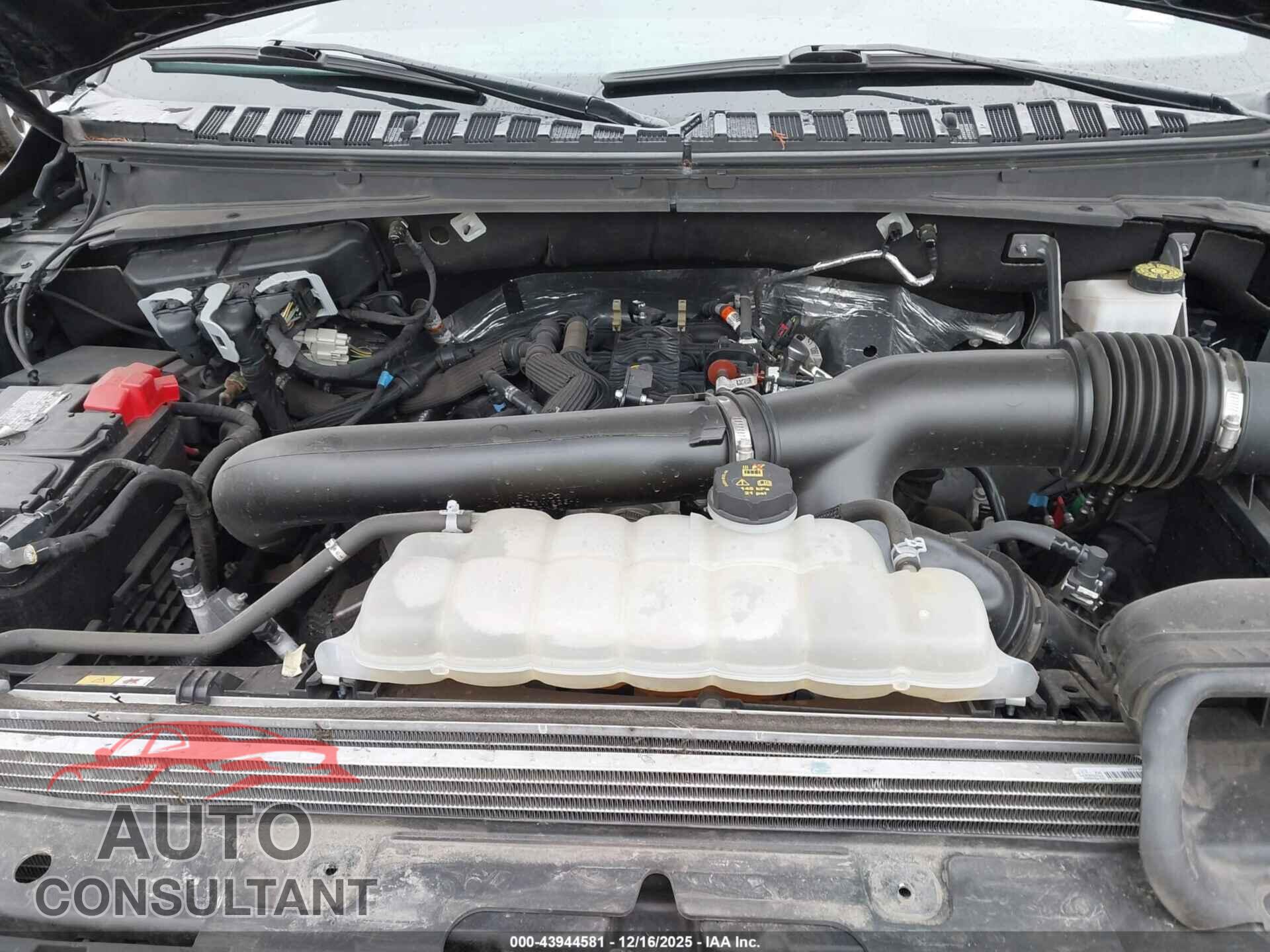 FORD EXPEDITION 2024 - 1FMJK2A86REA24281