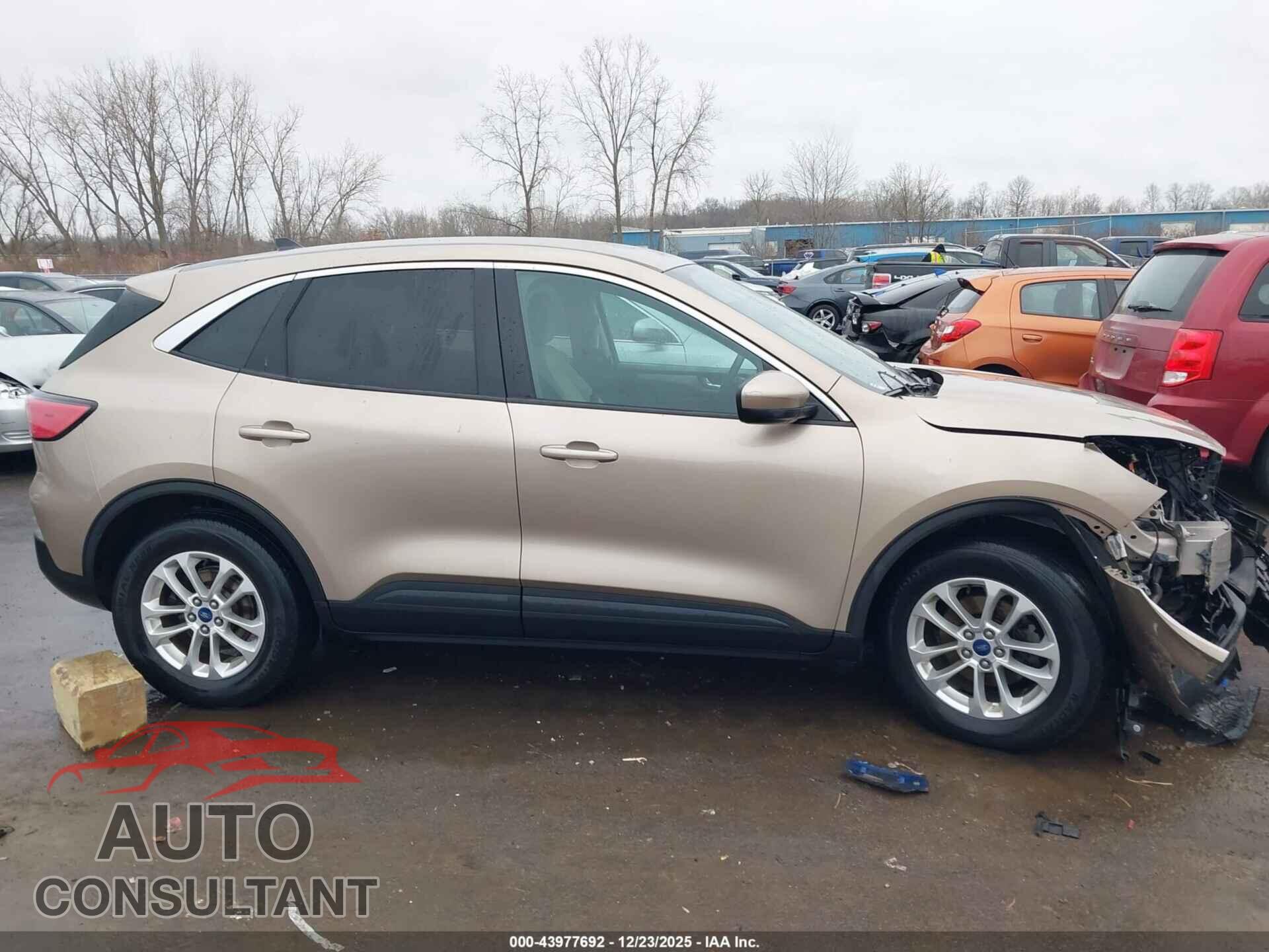 FORD ESCAPE 2020 - 1FMCU9G64LUA44480