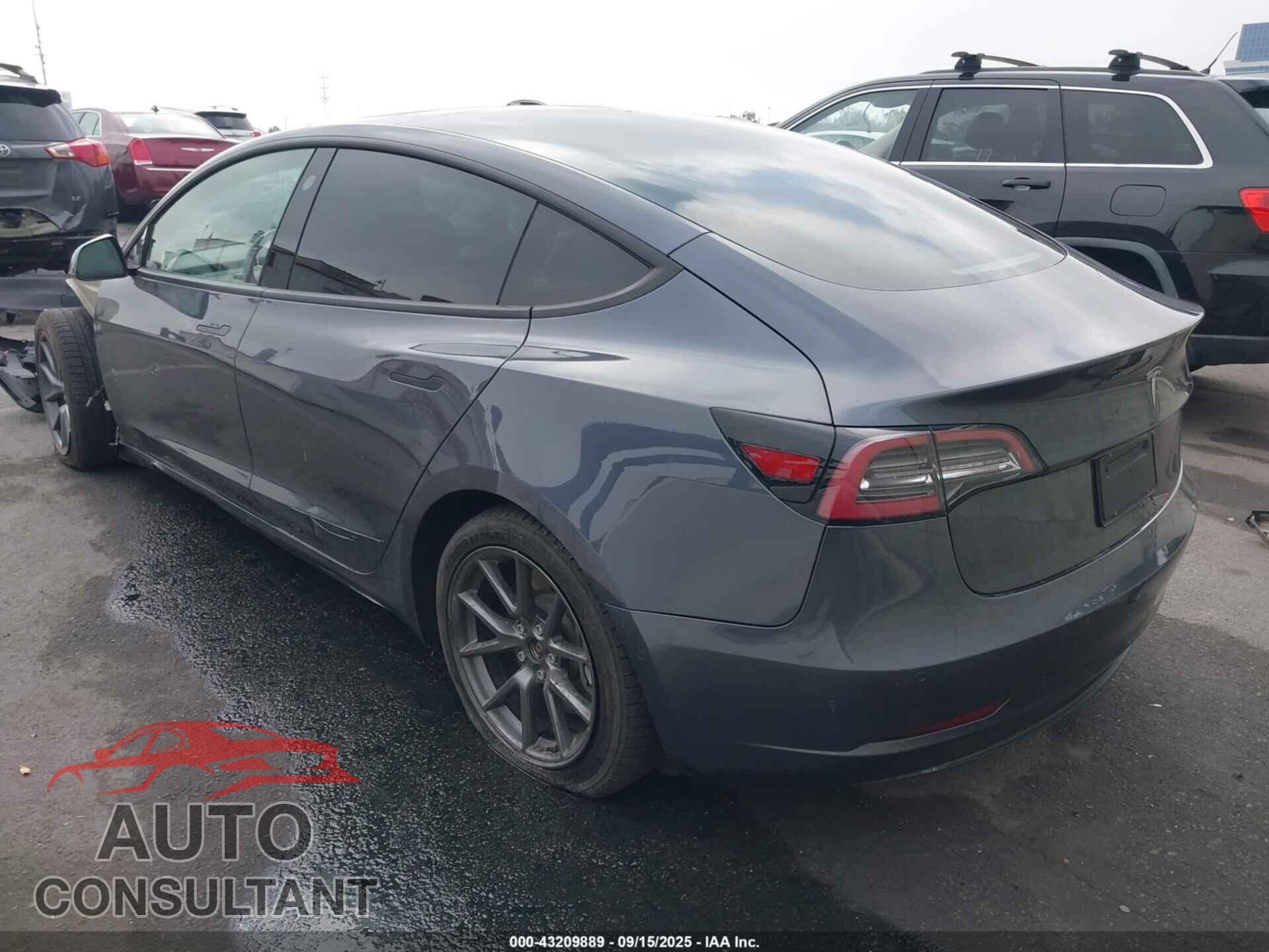 TESLA MODEL 3 2021 - 5YJ3E1EA4MF919335
