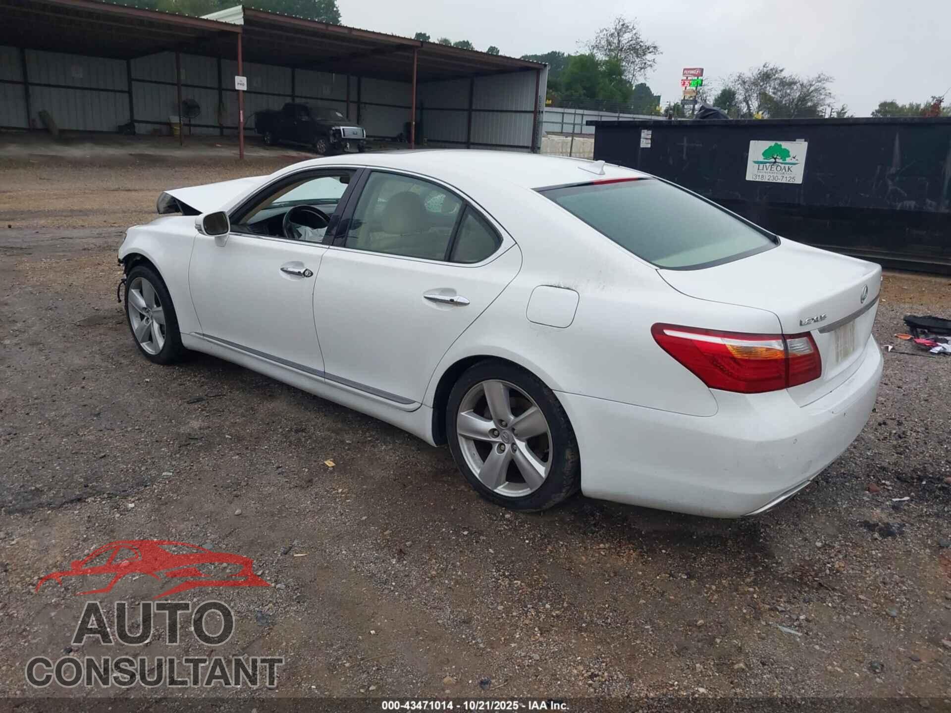 LEXUS LS 460 2010 - JTHBL5EF8A5097459